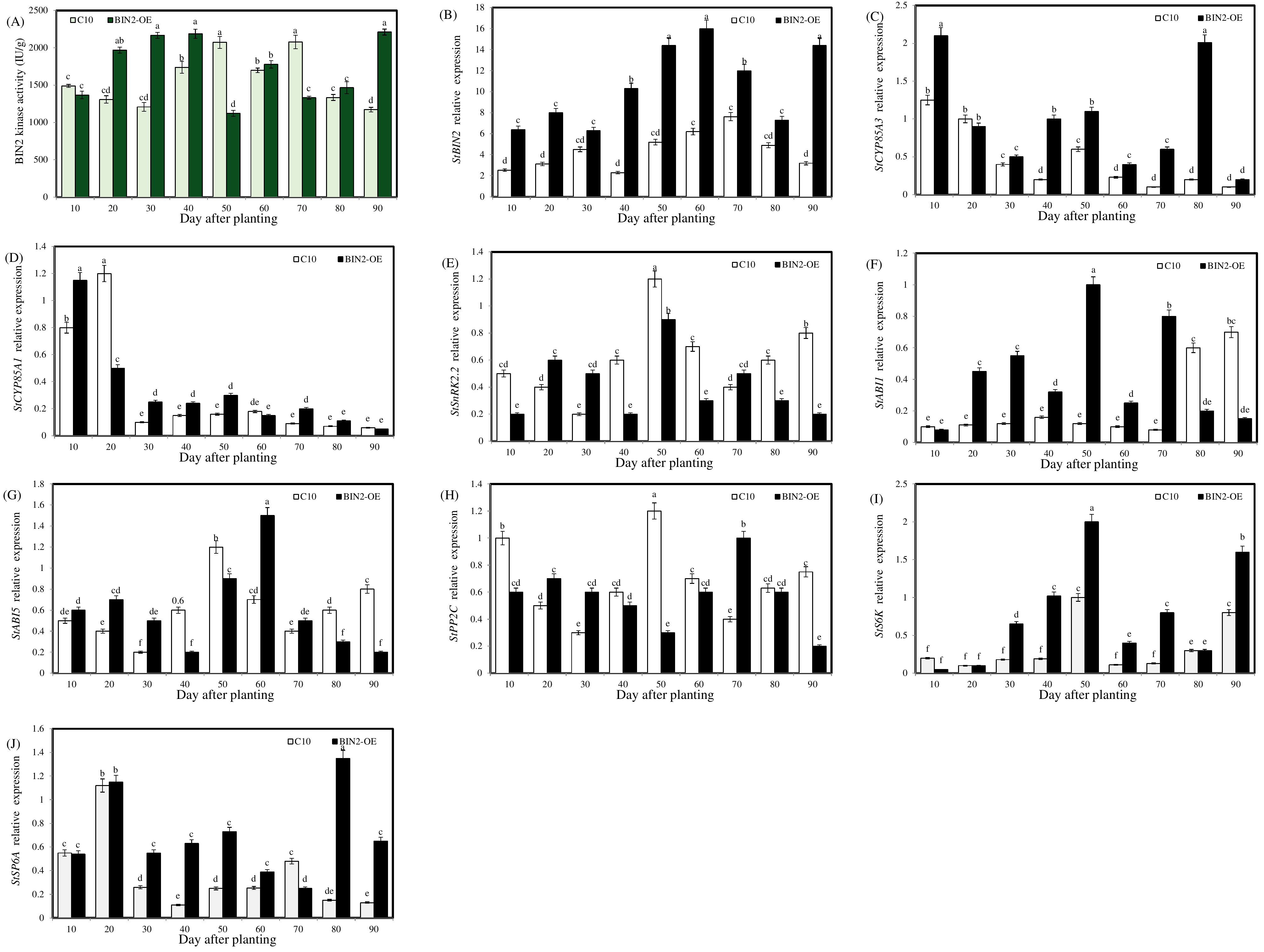 Ijms 24 16087 g005 Ijms 24 16087 g005