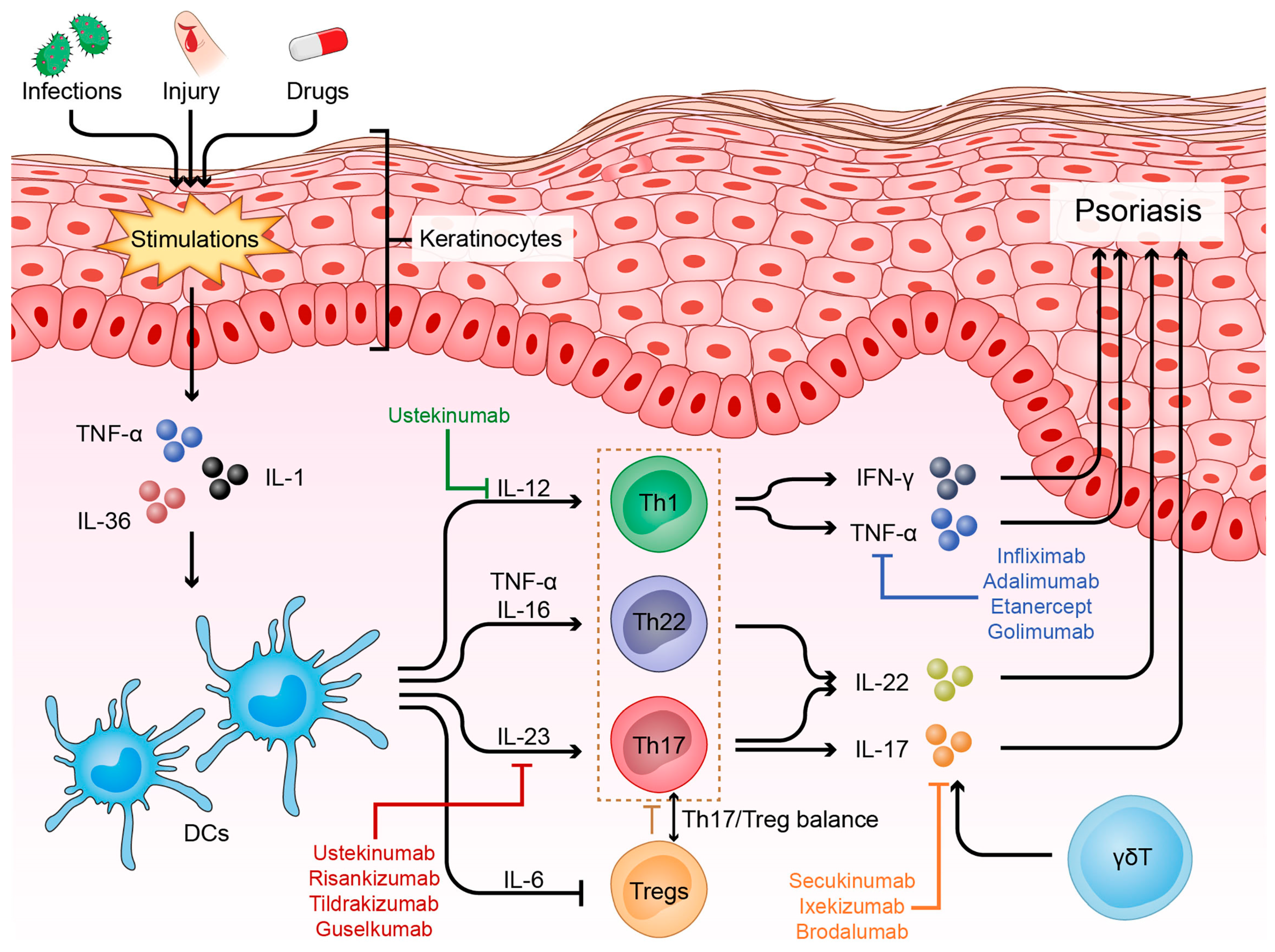 Possibilities of nailfold capillaroscopy in the differential diagnosis of  immuno-inflammatory and rheumatological diseases - Penin - HERALD of  North-Western State Medical University named after I.I. Mechnikov