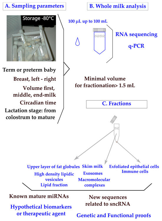 Human Breast Milk miRNAs: Their Diversity and Potential for Preventive ...