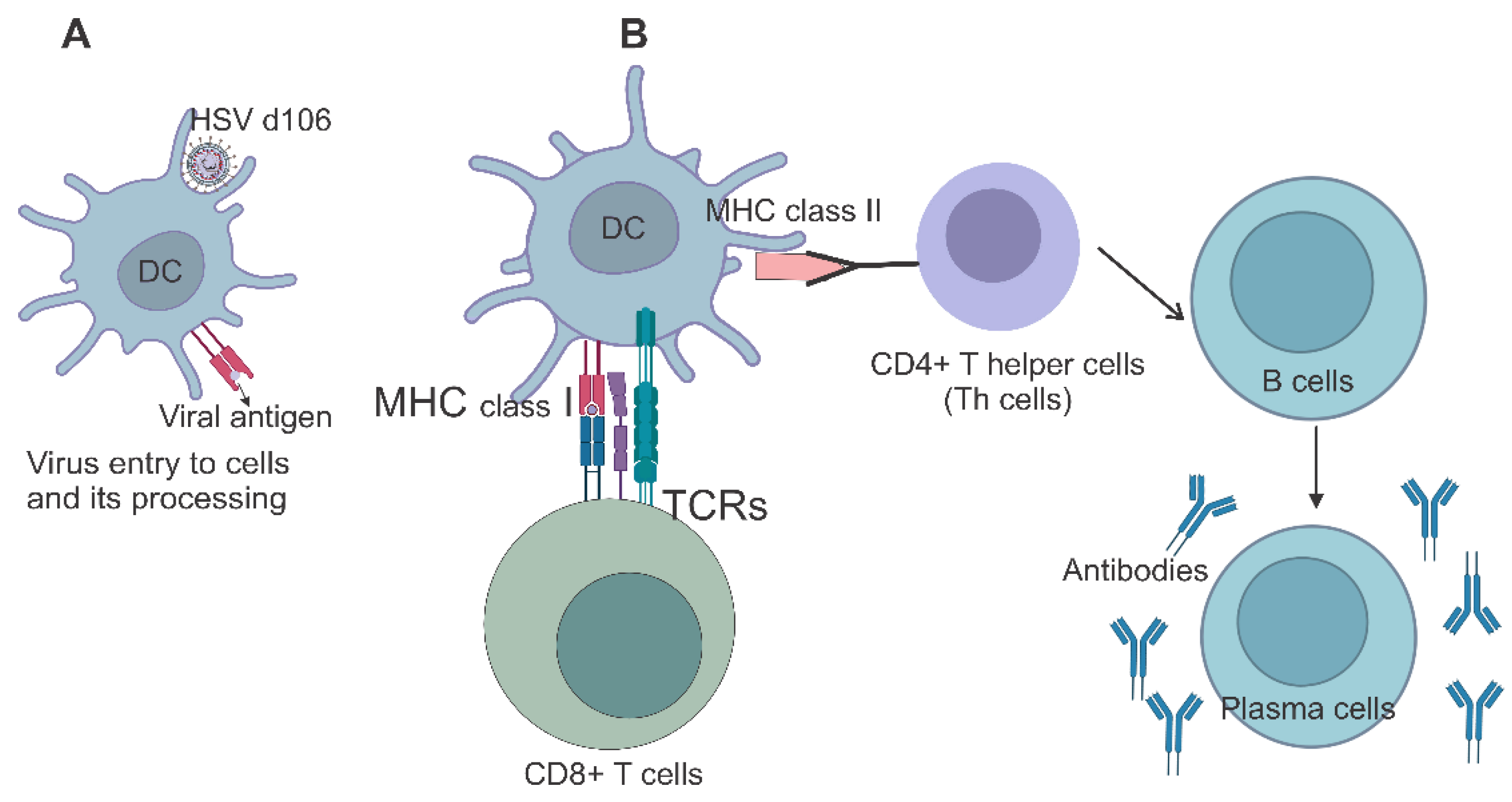 Ijms 24 16112 g003 Ijms 24 16112 g003
