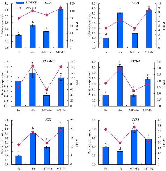 Ｆ お問合せ下さい】21- ZX-10R ST用アンダーカウルSTD DCK エーテック A