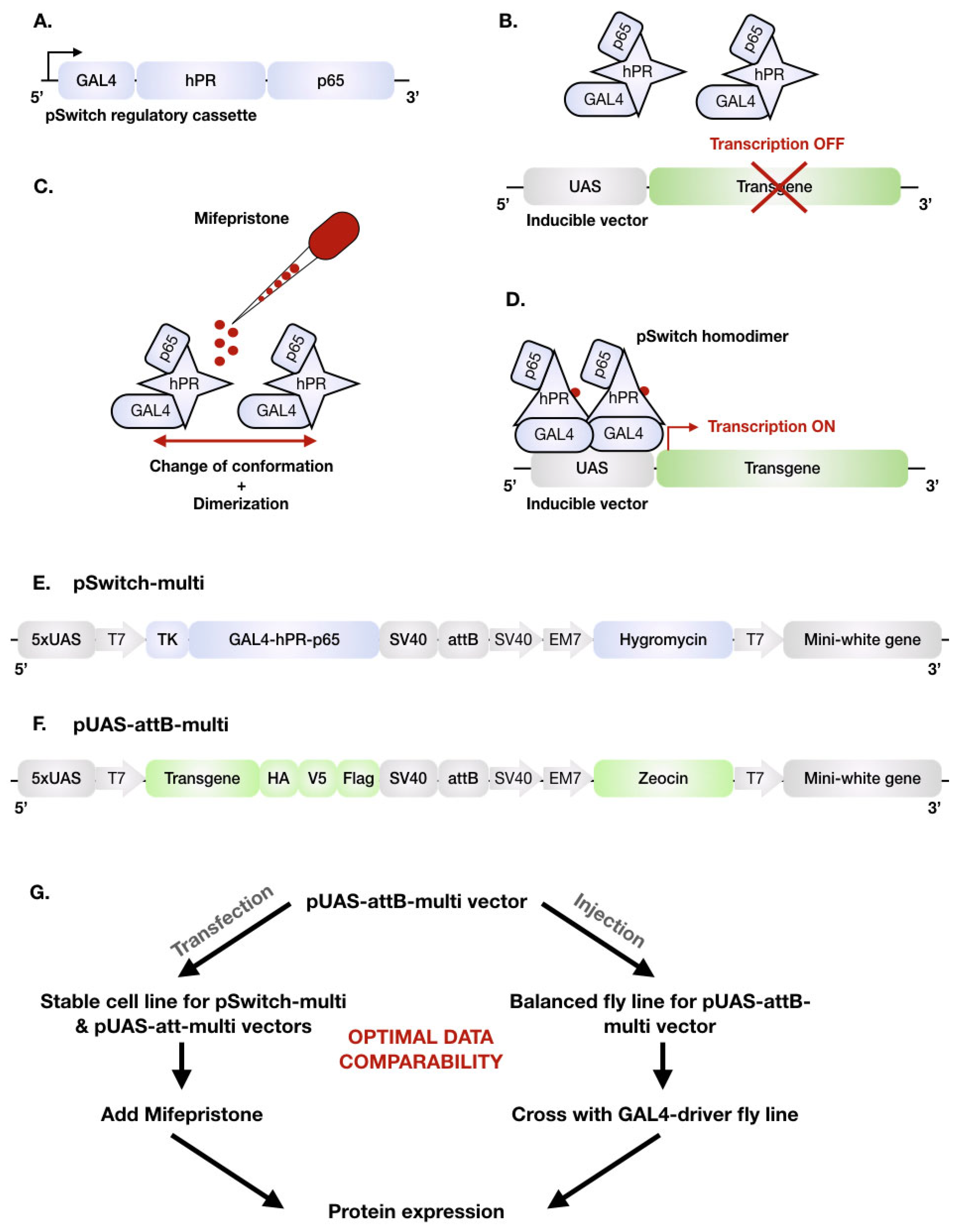 Ijms | free full-text | an adapted geneswitch toolkit for comparable