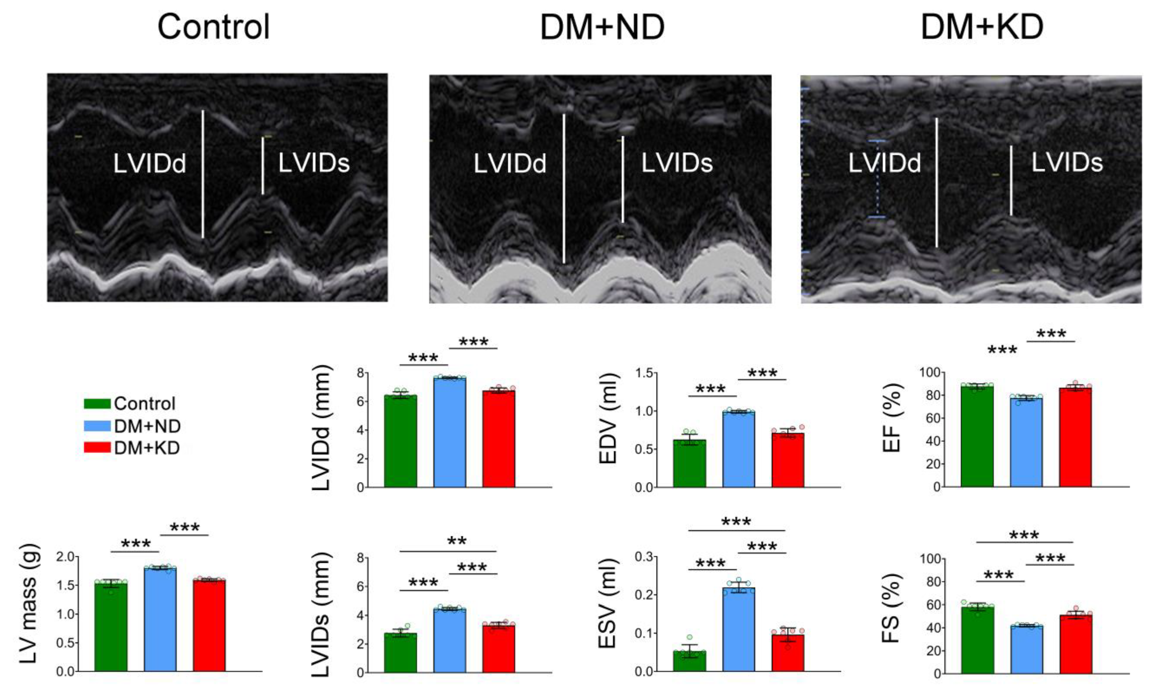 Ijms 24 16142 g001 Ijms 24 16142 g001