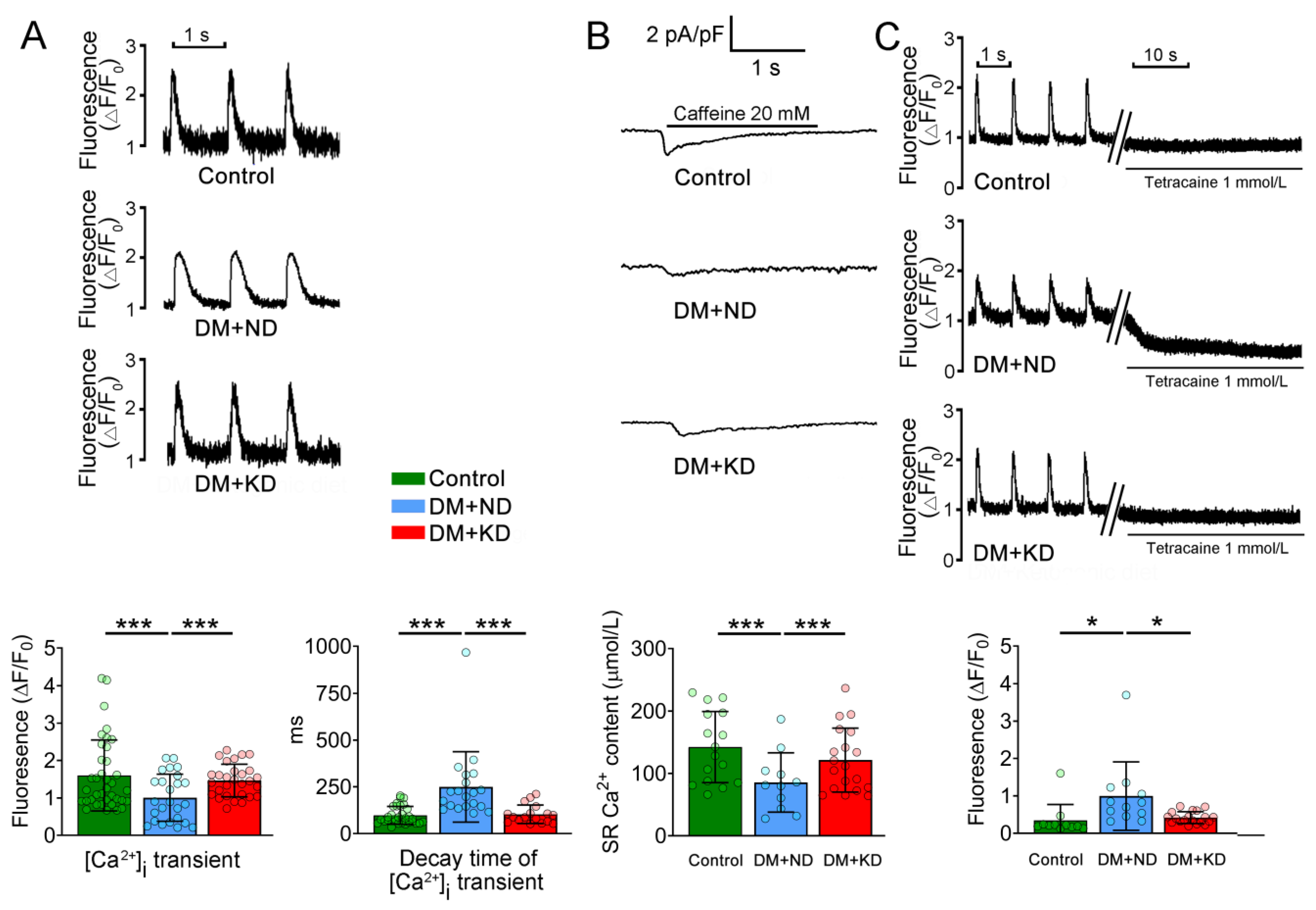 Ijms 24 16142 g003 Ijms 24 16142 g003