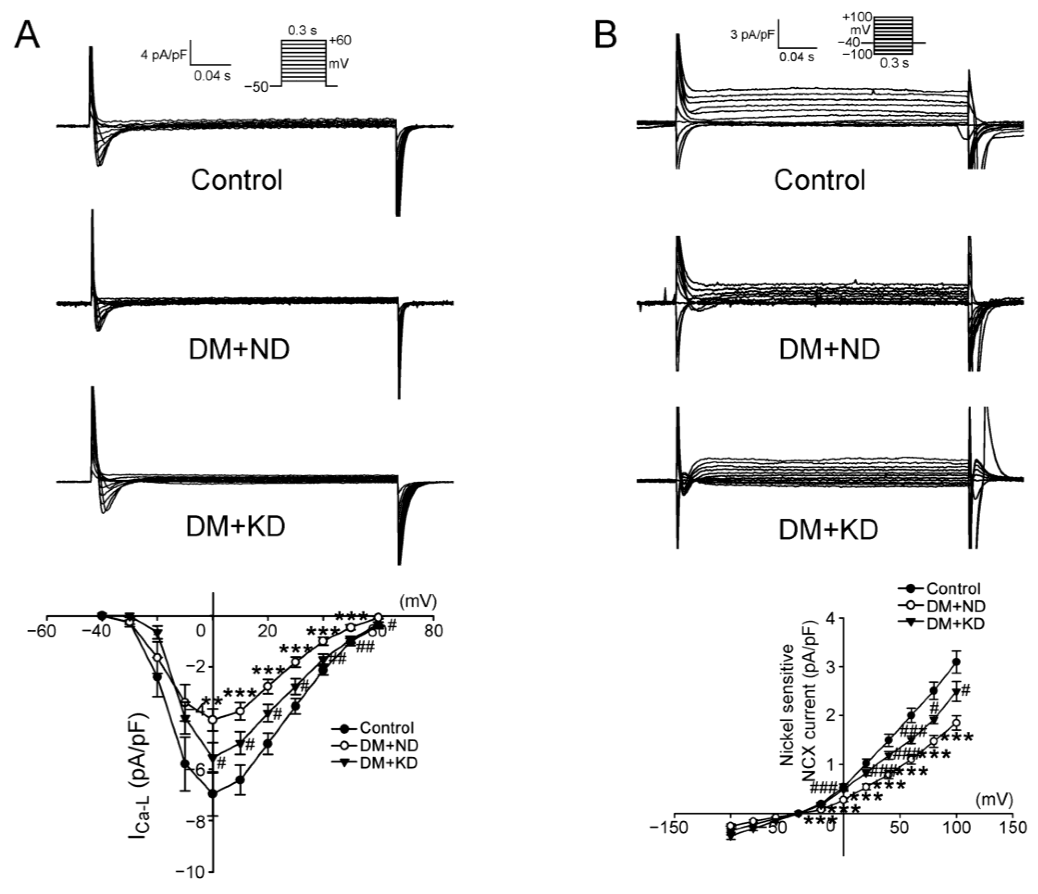 Ijms 24 16142 g004 Ijms 24 16142 g004