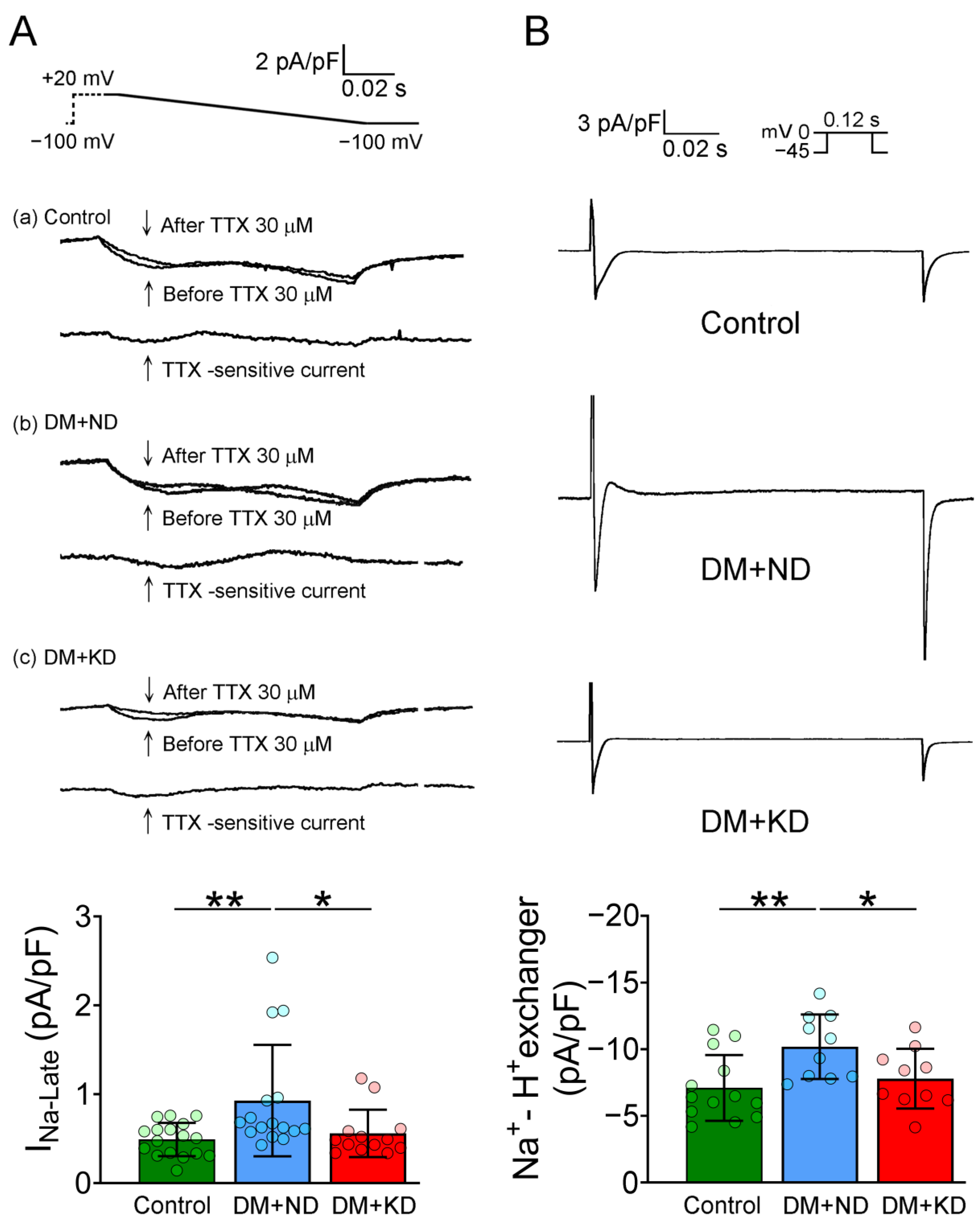 Ijms 24 16142 g005 Ijms 24 16142 g005
