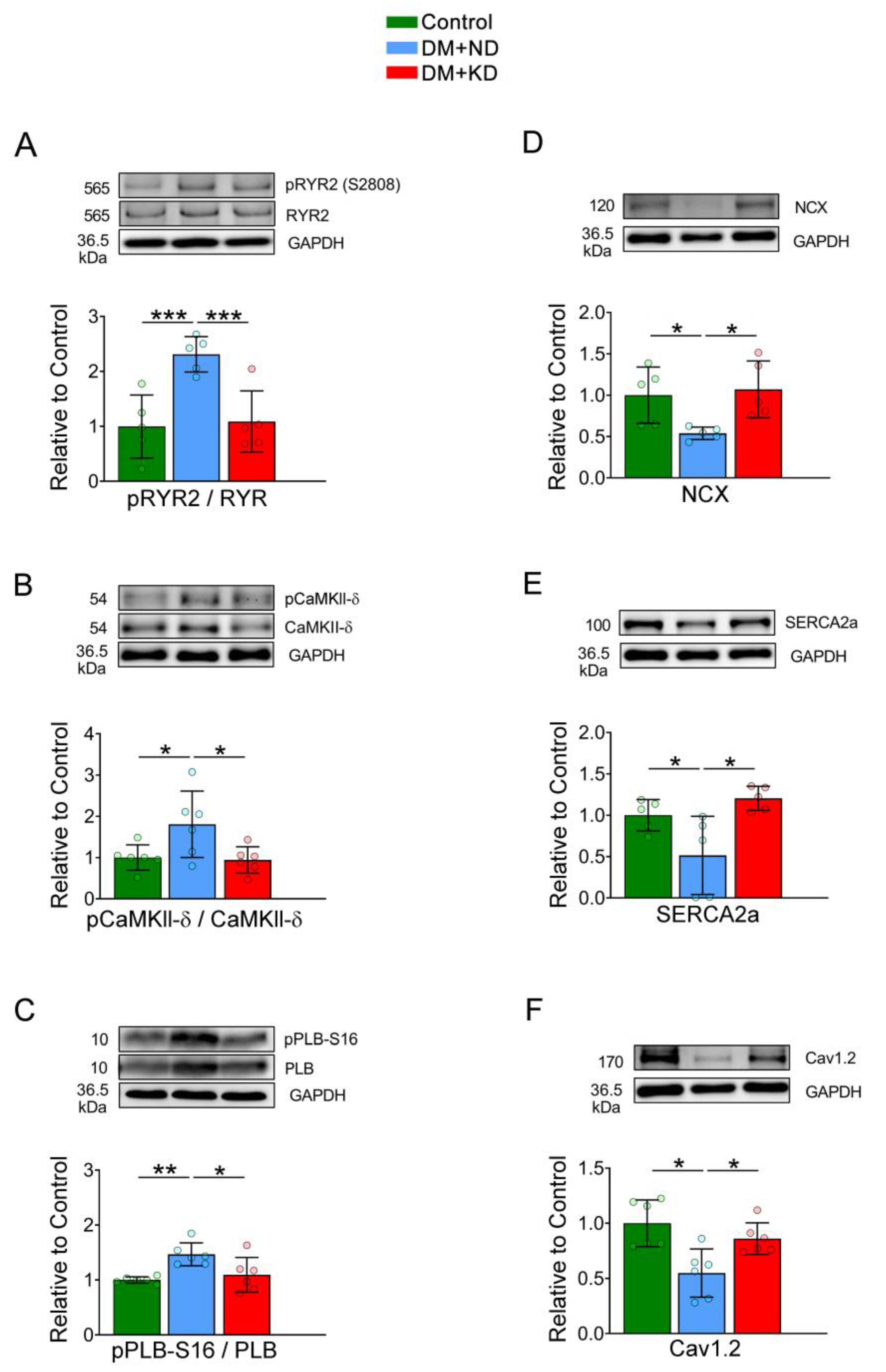 Ijms 24 16142 g007 Ijms 24 16142 g007