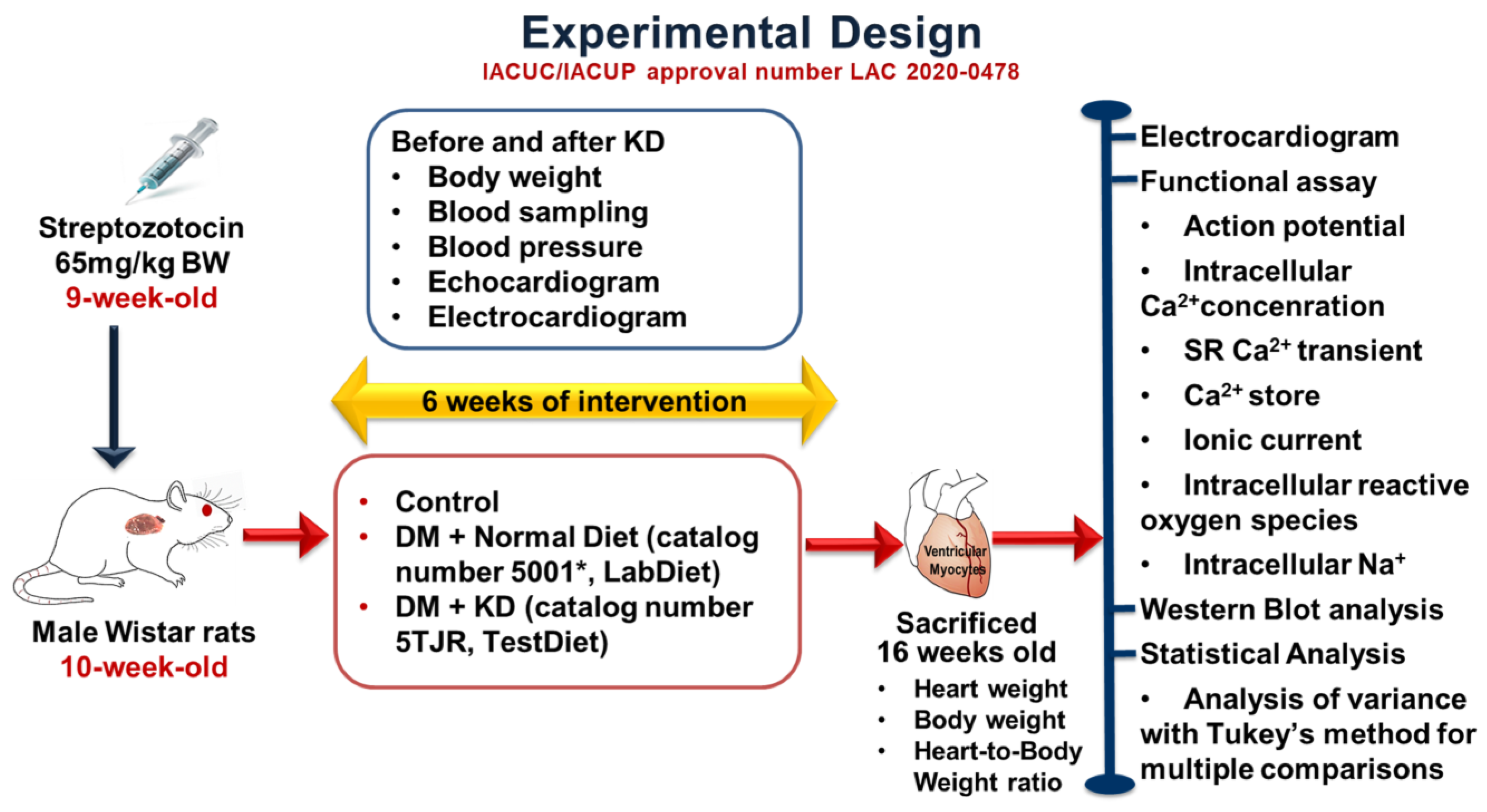 Ijms 24 16142 g009 Ijms 24 16142 g009