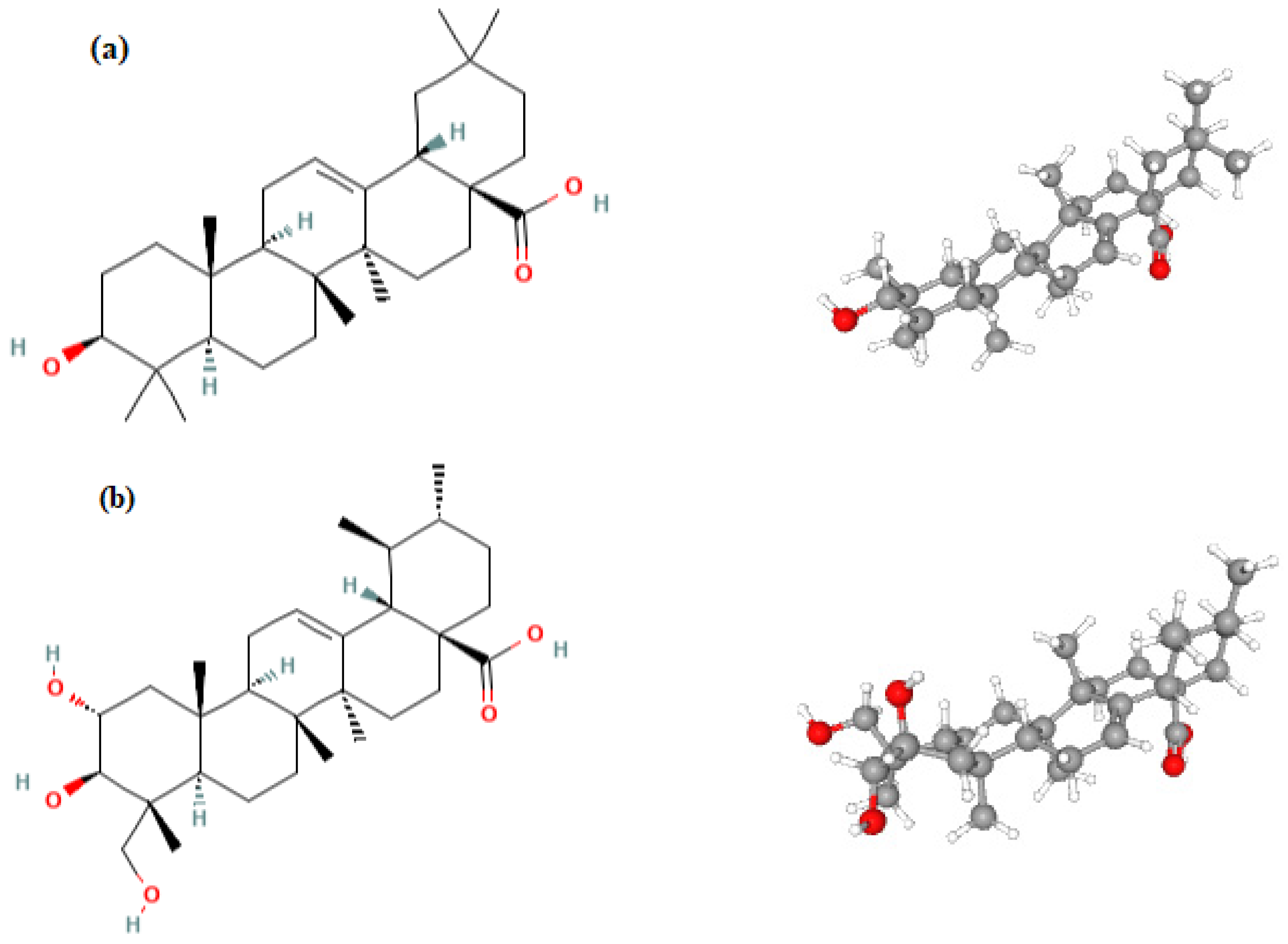 Ijms 24 16144 g001 Ijms 24 16144 g001