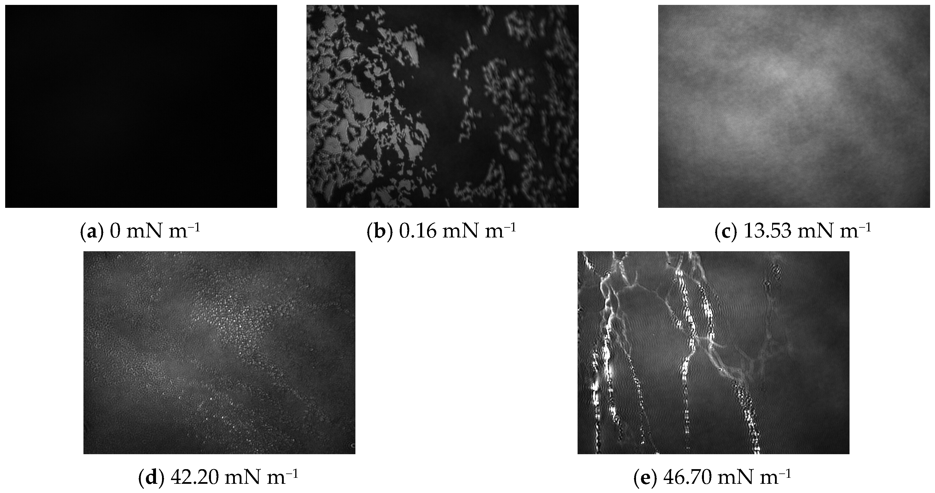 Ijms 24 16144 g005 Ijms 24 16144 g005