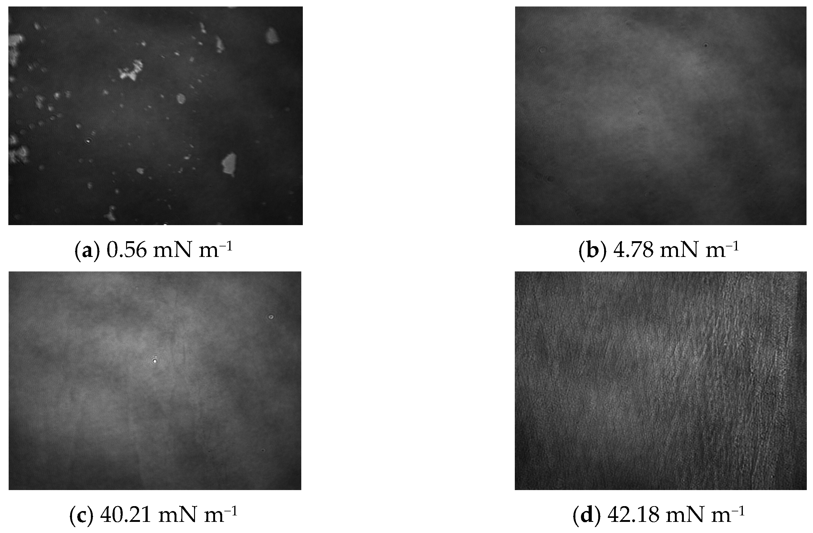 Ijms 24 16144 g006 Ijms 24 16144 g006