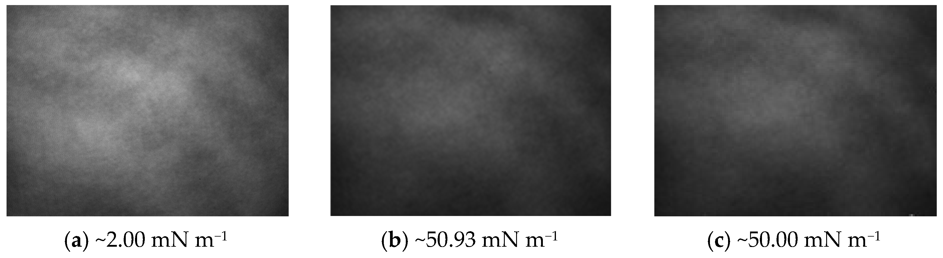 Ijms 24 16144 g010 Ijms 24 16144 g010