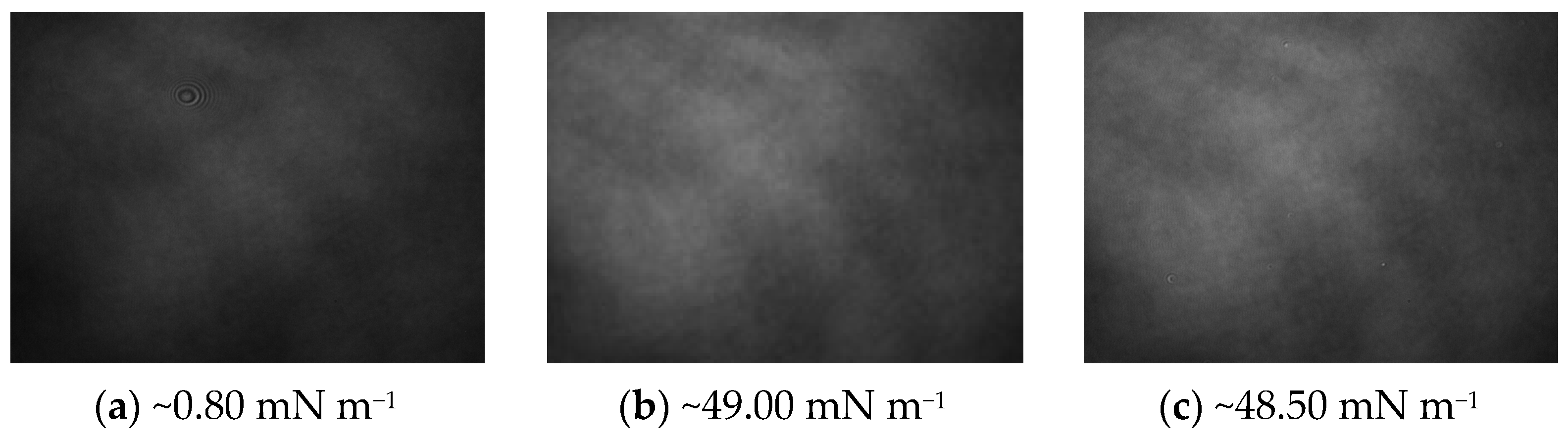 Ijms 24 16144 g014 Ijms 24 16144 g014