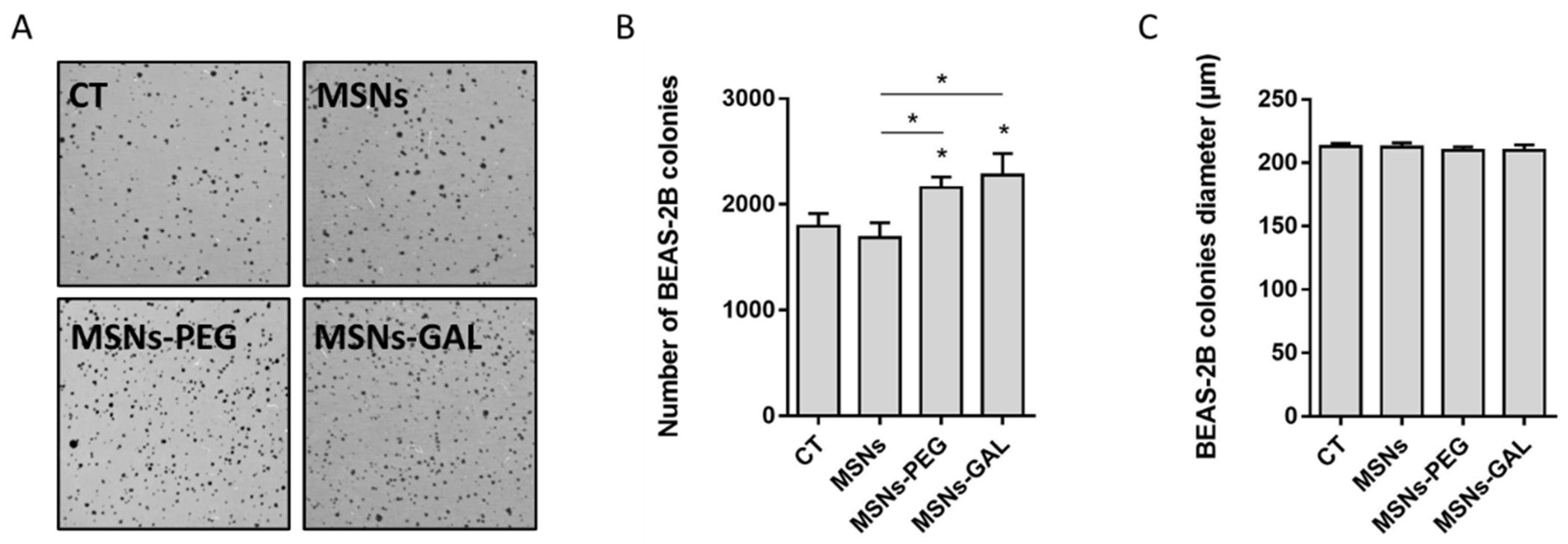 Ijms 24 16158 g002 Ijms 24 16158 g002