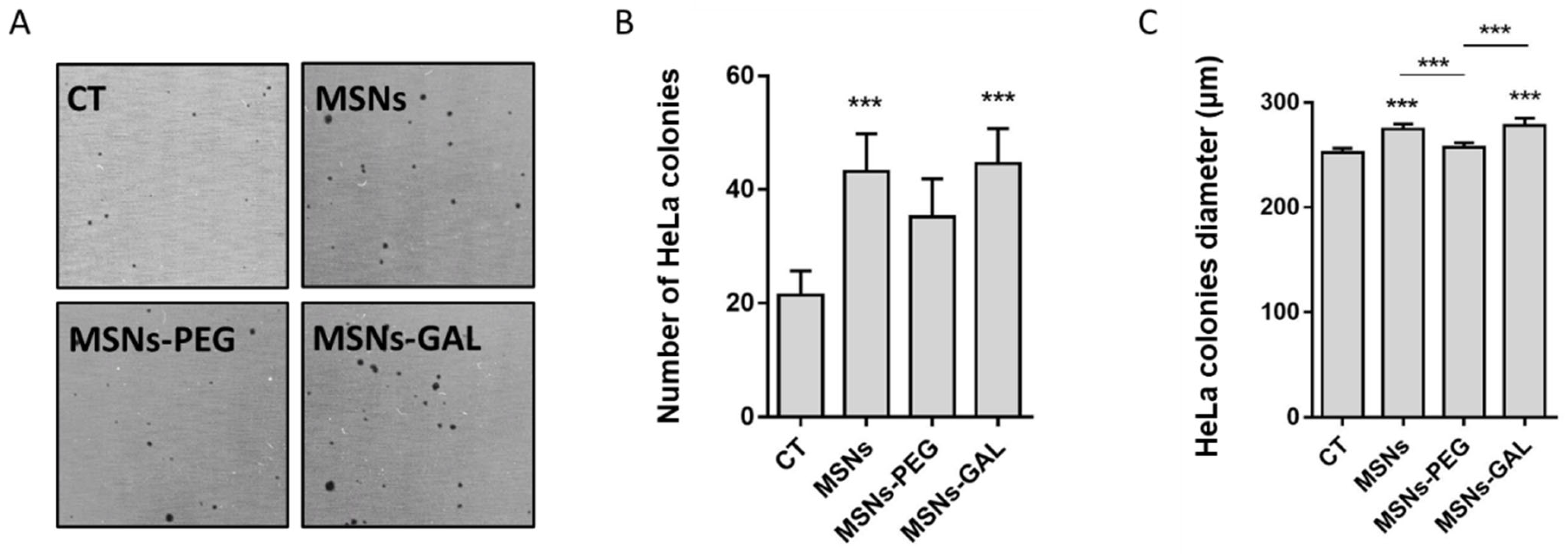 Ijms 24 16158 g004 Ijms 24 16158 g004