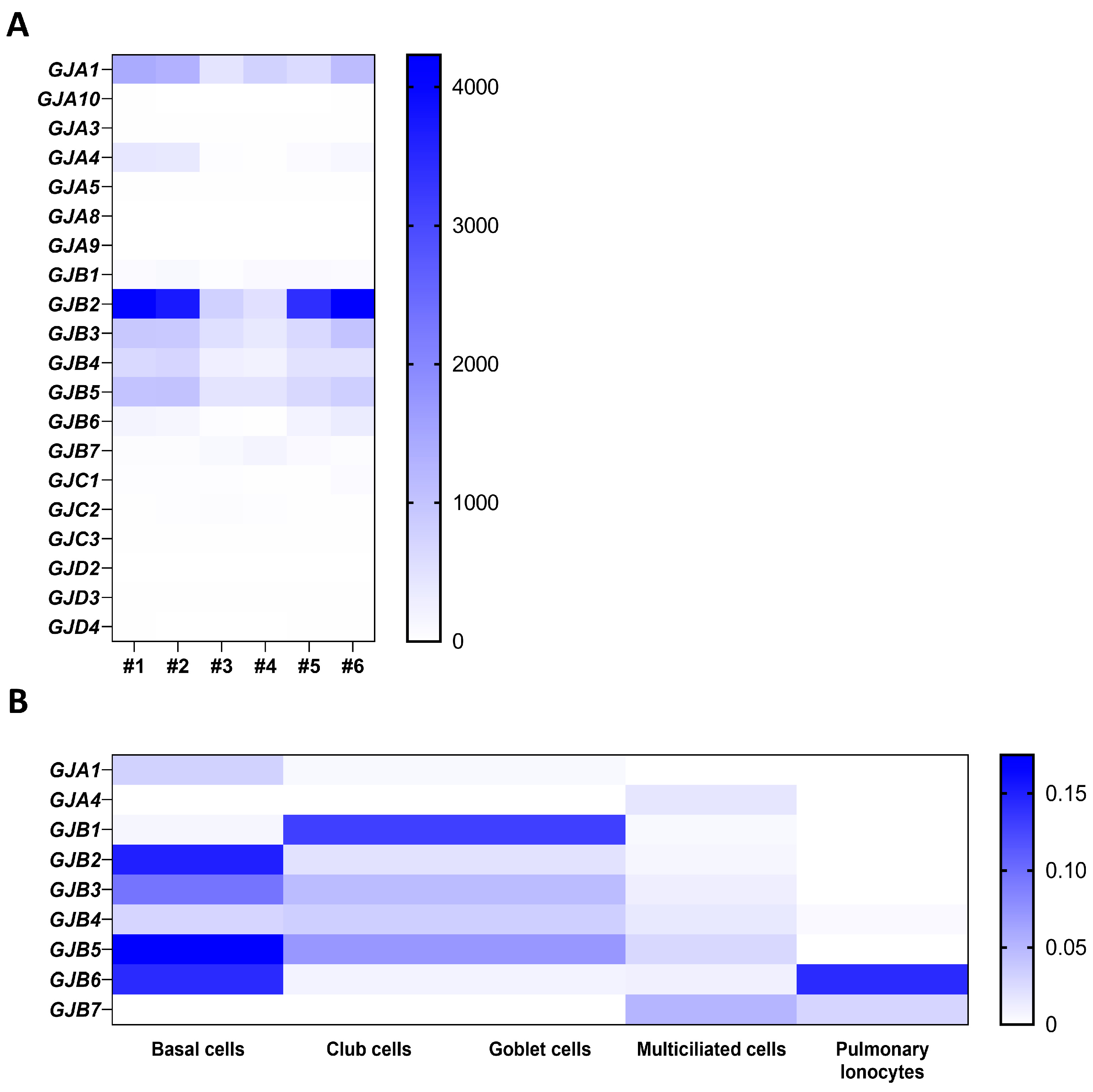 Ijms 24 16160 g001 Ijms 24 16160 g001