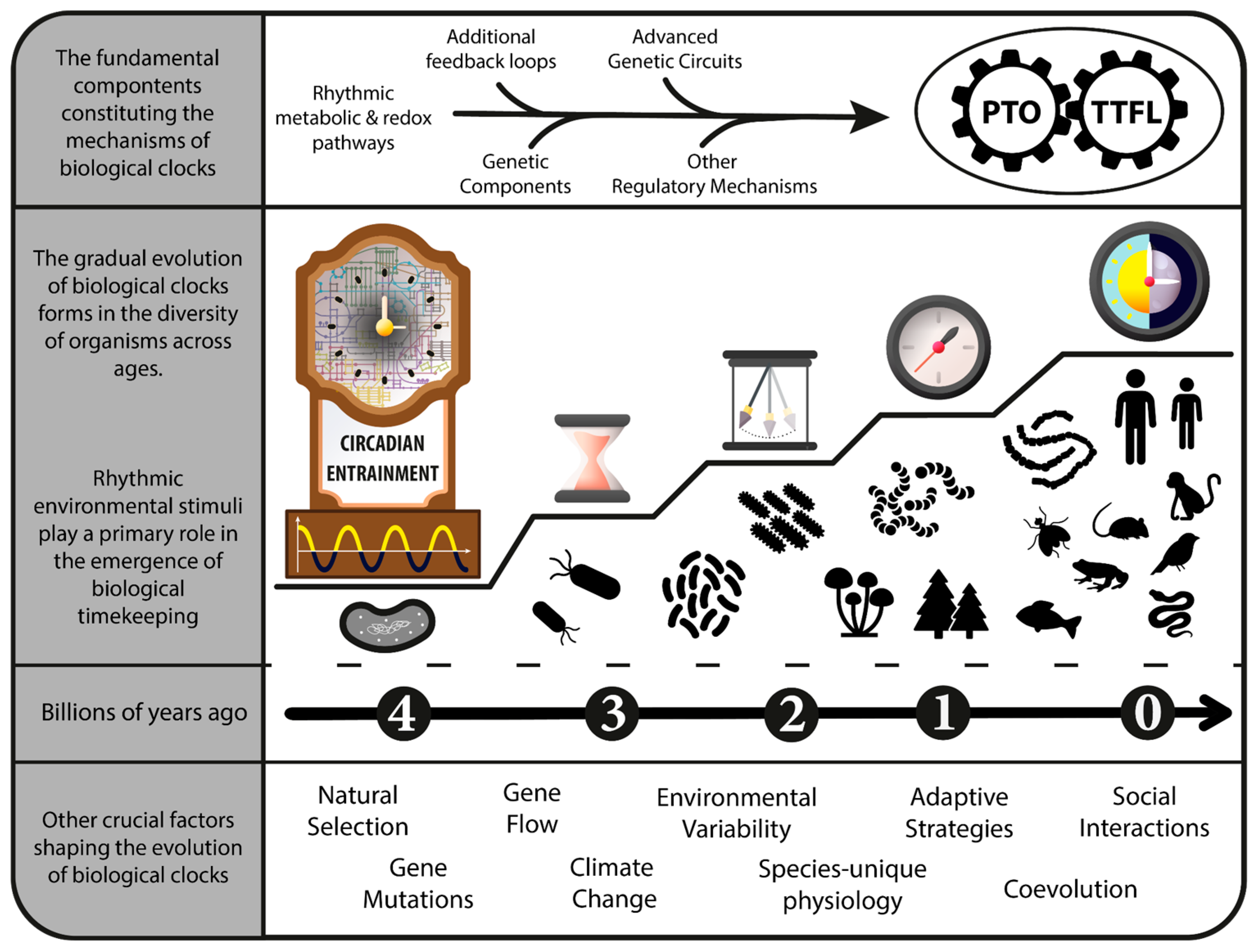 IJMS | Free Full-Text | Studying the Human Microbiota: Advances in ...