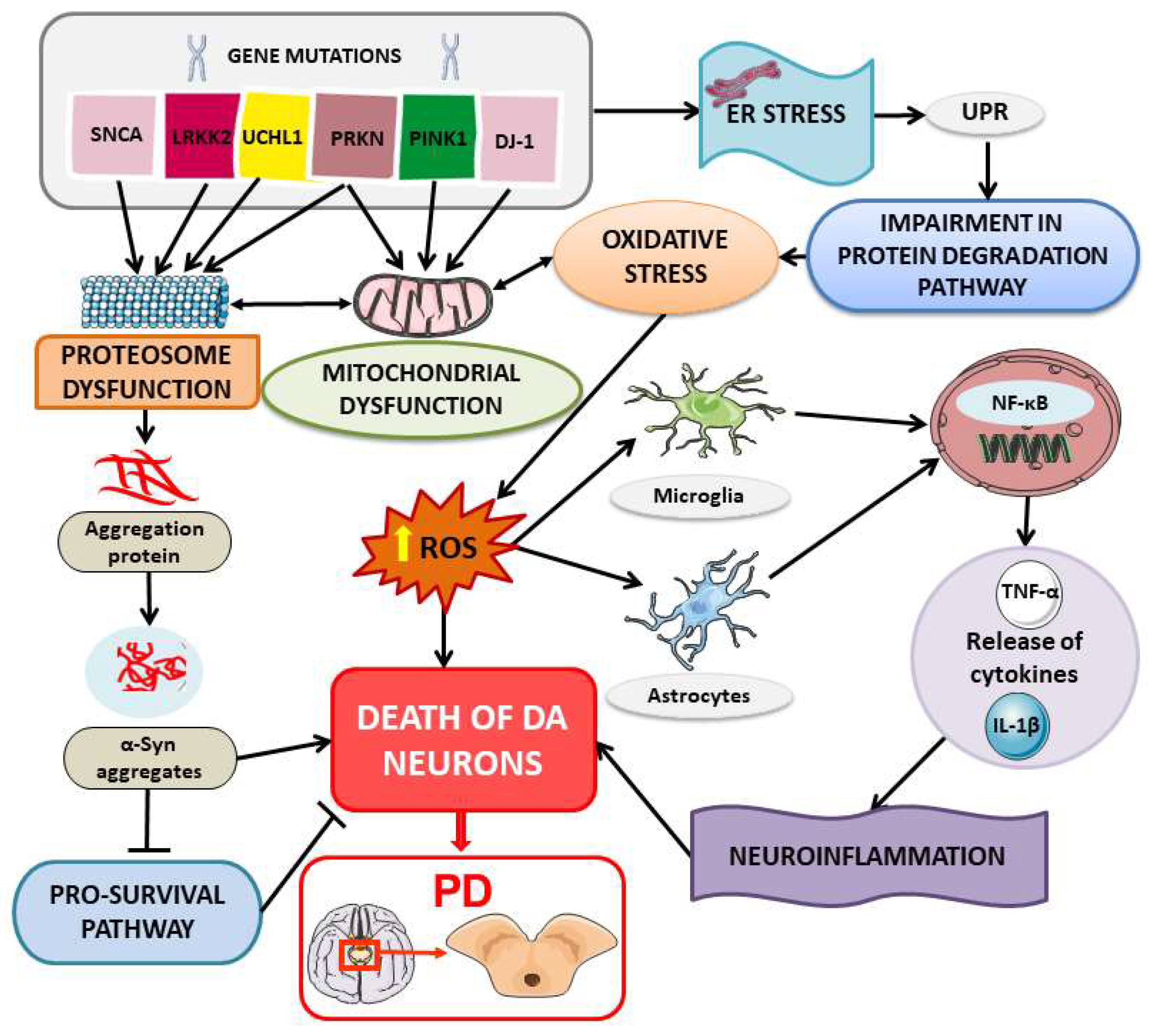 Ijms 24 16233 g002 Ijms 24 16233 g002