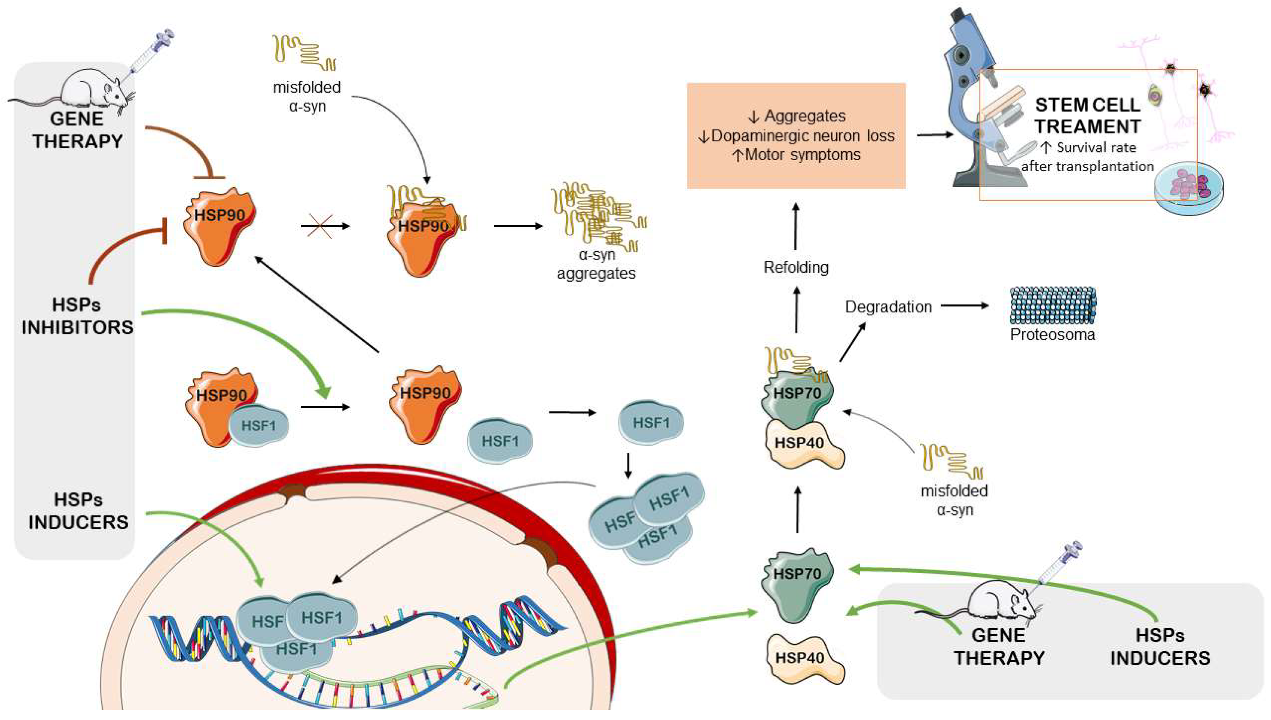 Ijms 24 16233 g003 Ijms 24 16233 g003