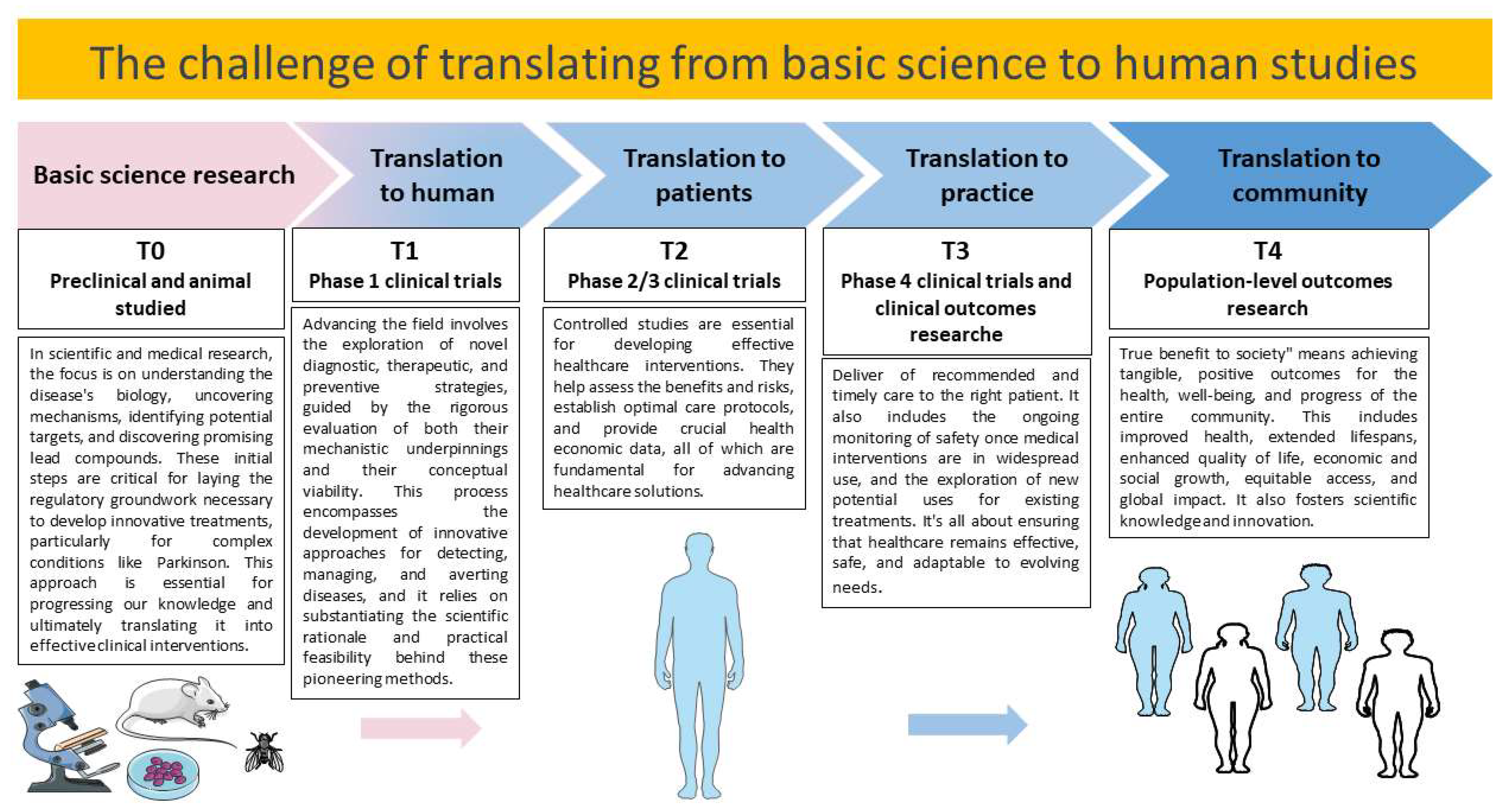 Ijms 24 16233 g005 Ijms 24 16233 g005