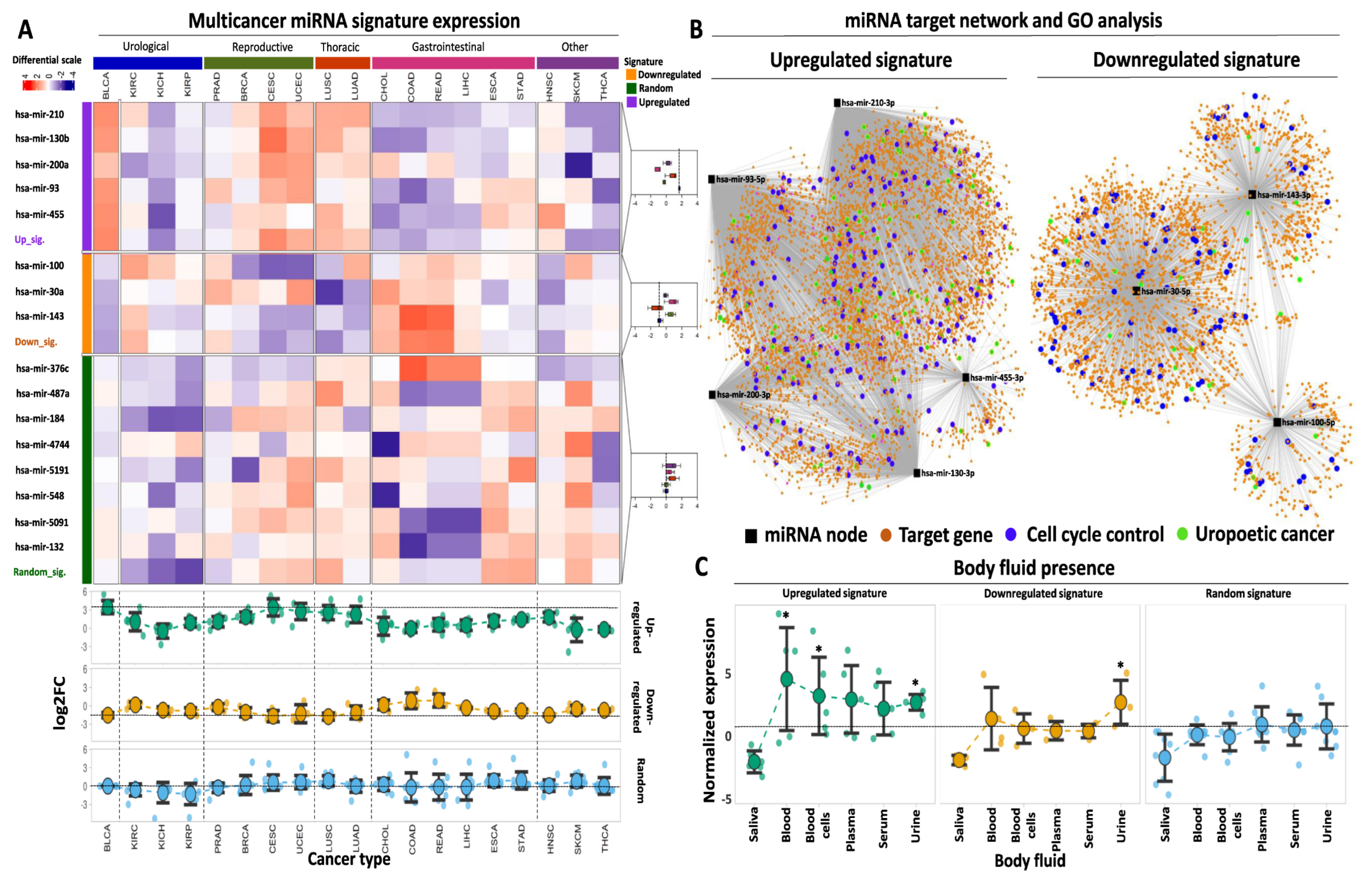 Ijms 24 16243 g004 Ijms 24 16243 g004