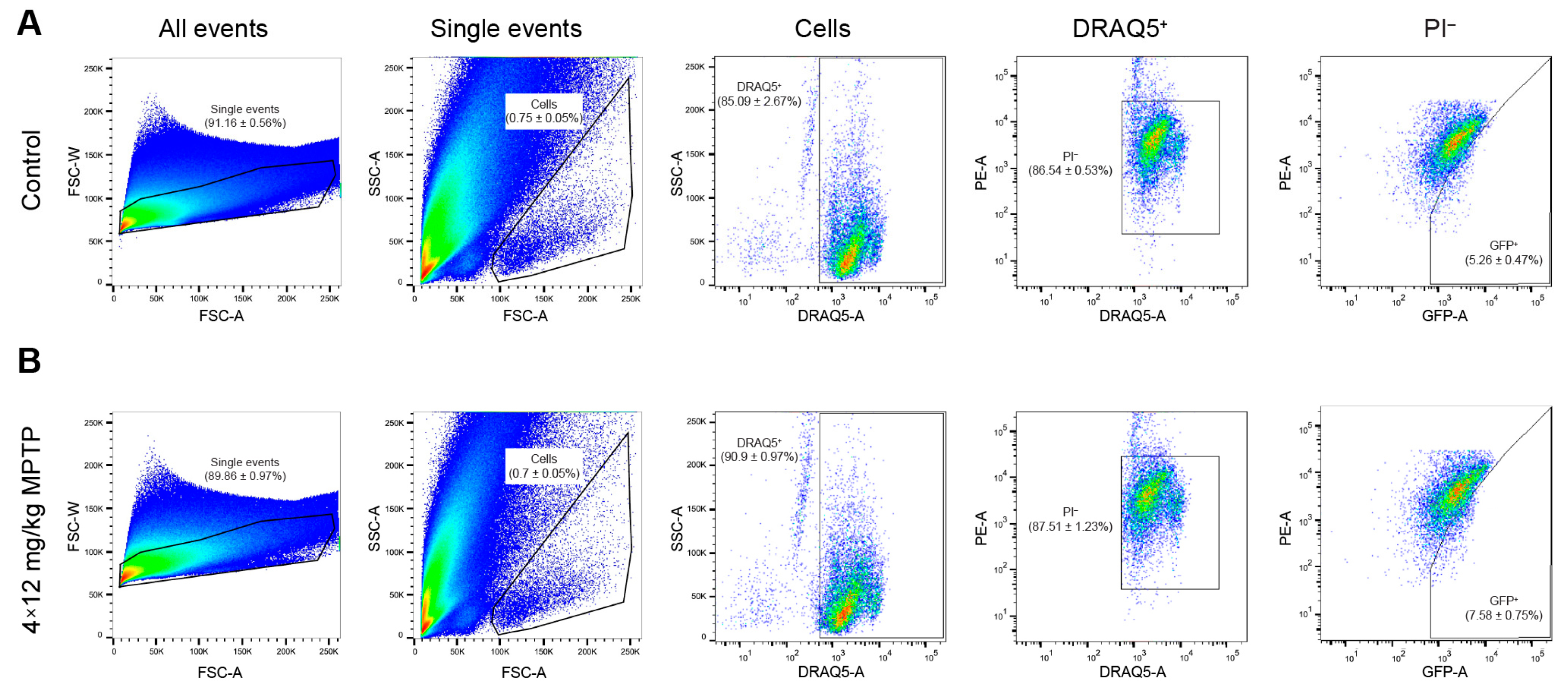 Ijms 24 16245 g004 Ijms 24 16245 g004