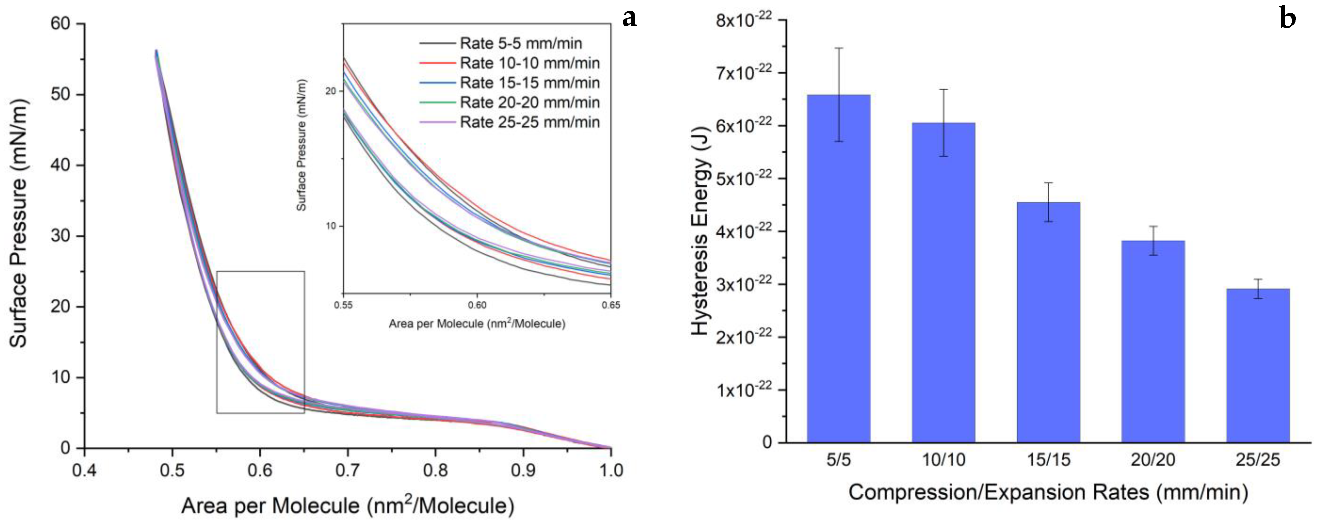 Ijms 24 16252 g004 Ijms 24 16252 g004