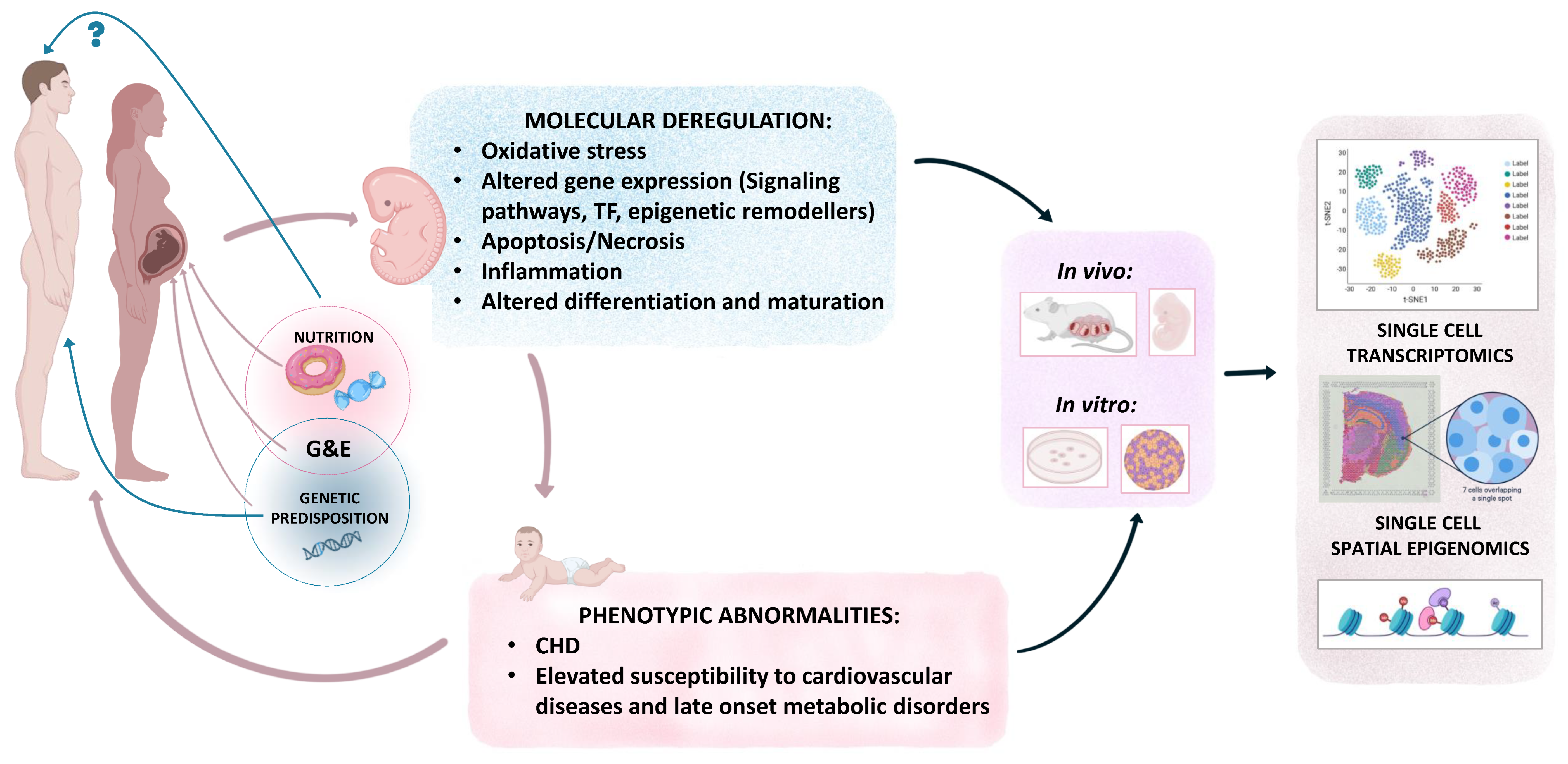 Ijms 24 16258 g004 Ijms 24 16258 g004