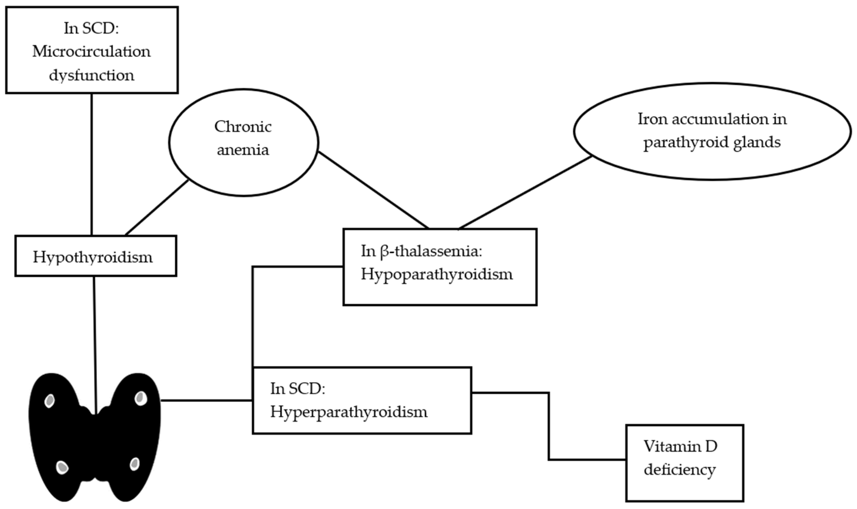 Ijms 24 16263 g001 Ijms 24 16263 g001