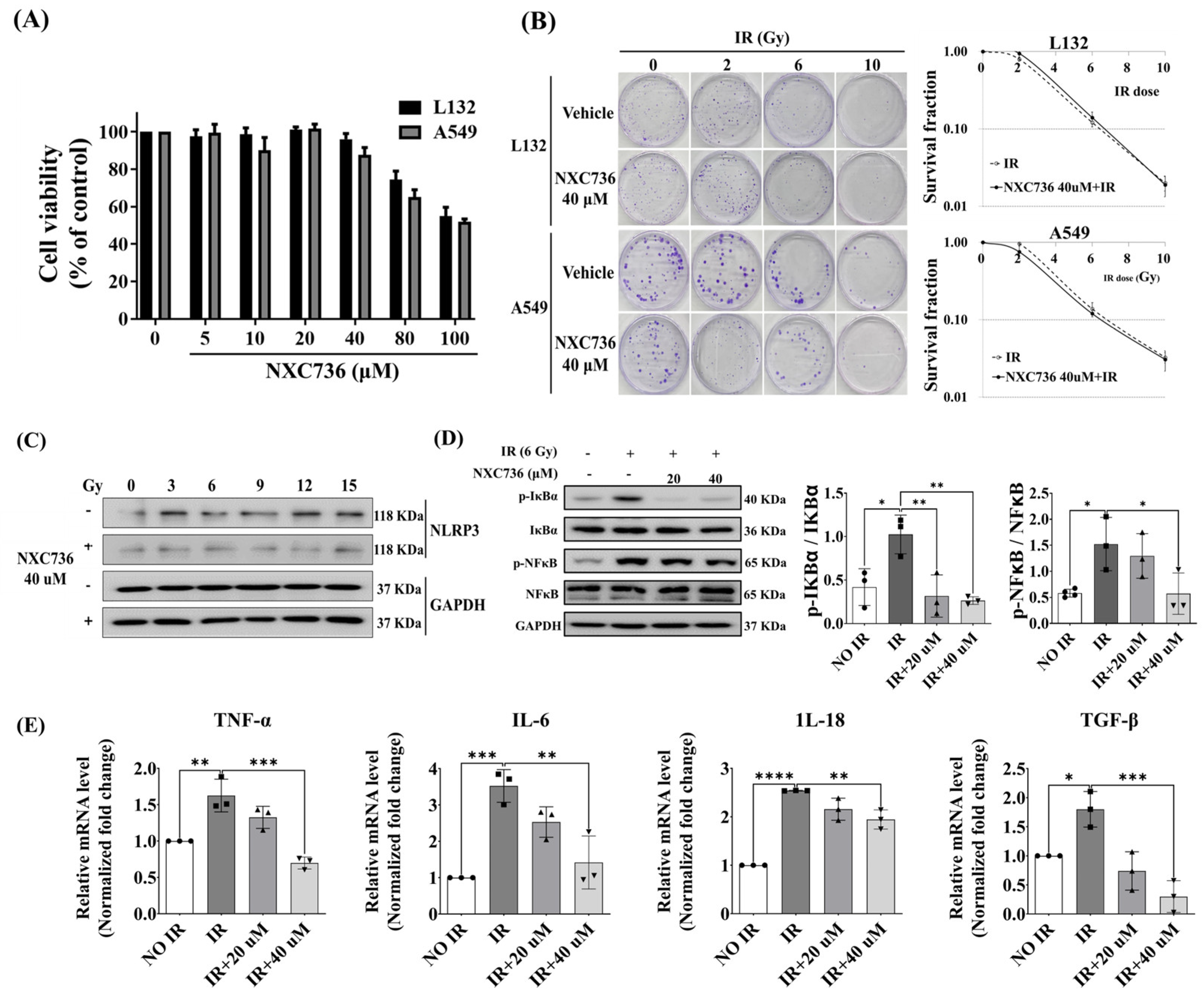Ijms 24 16265 g003 Ijms 24 16265 g003