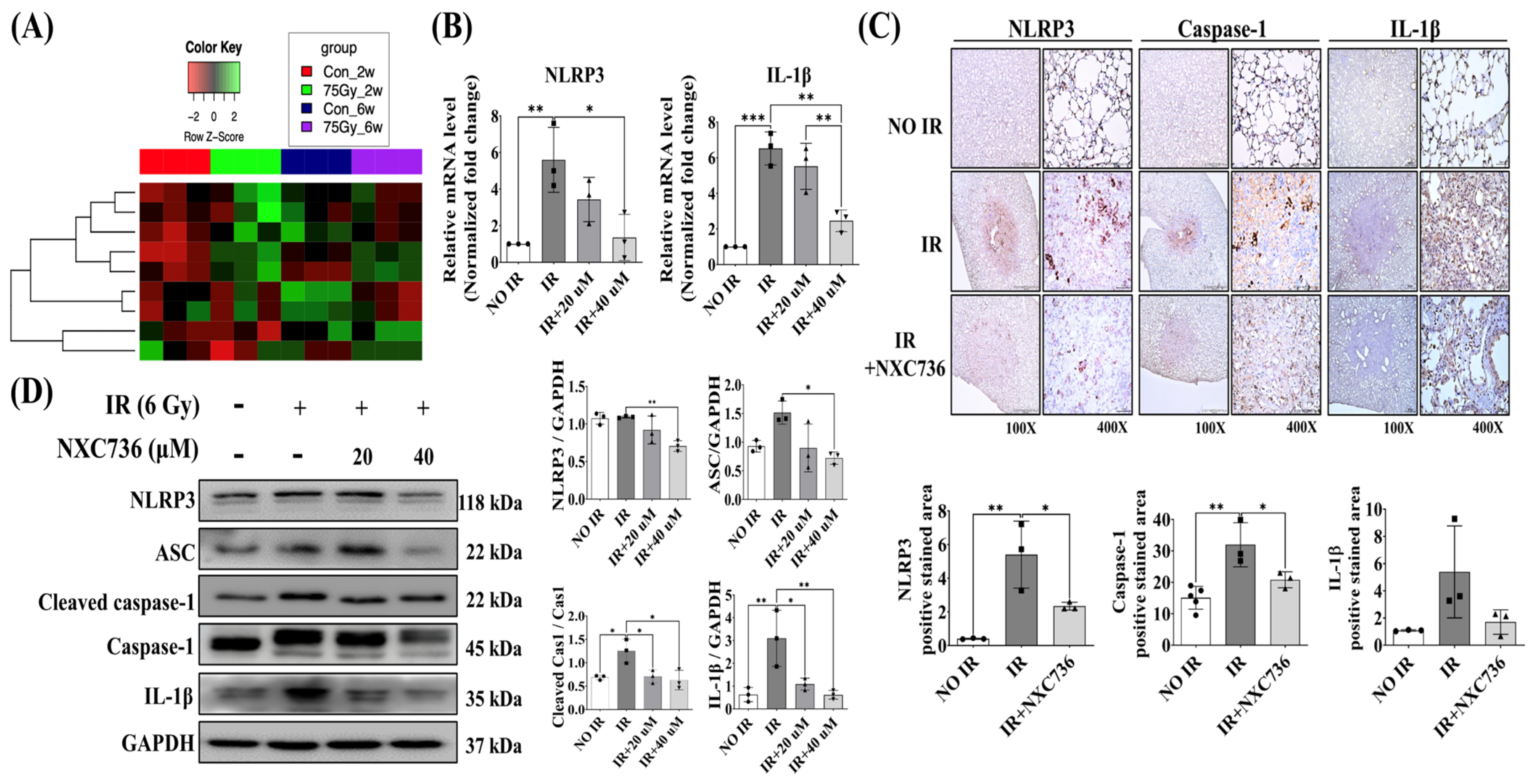 Ijms 24 16265 g004 Ijms 24 16265 g004