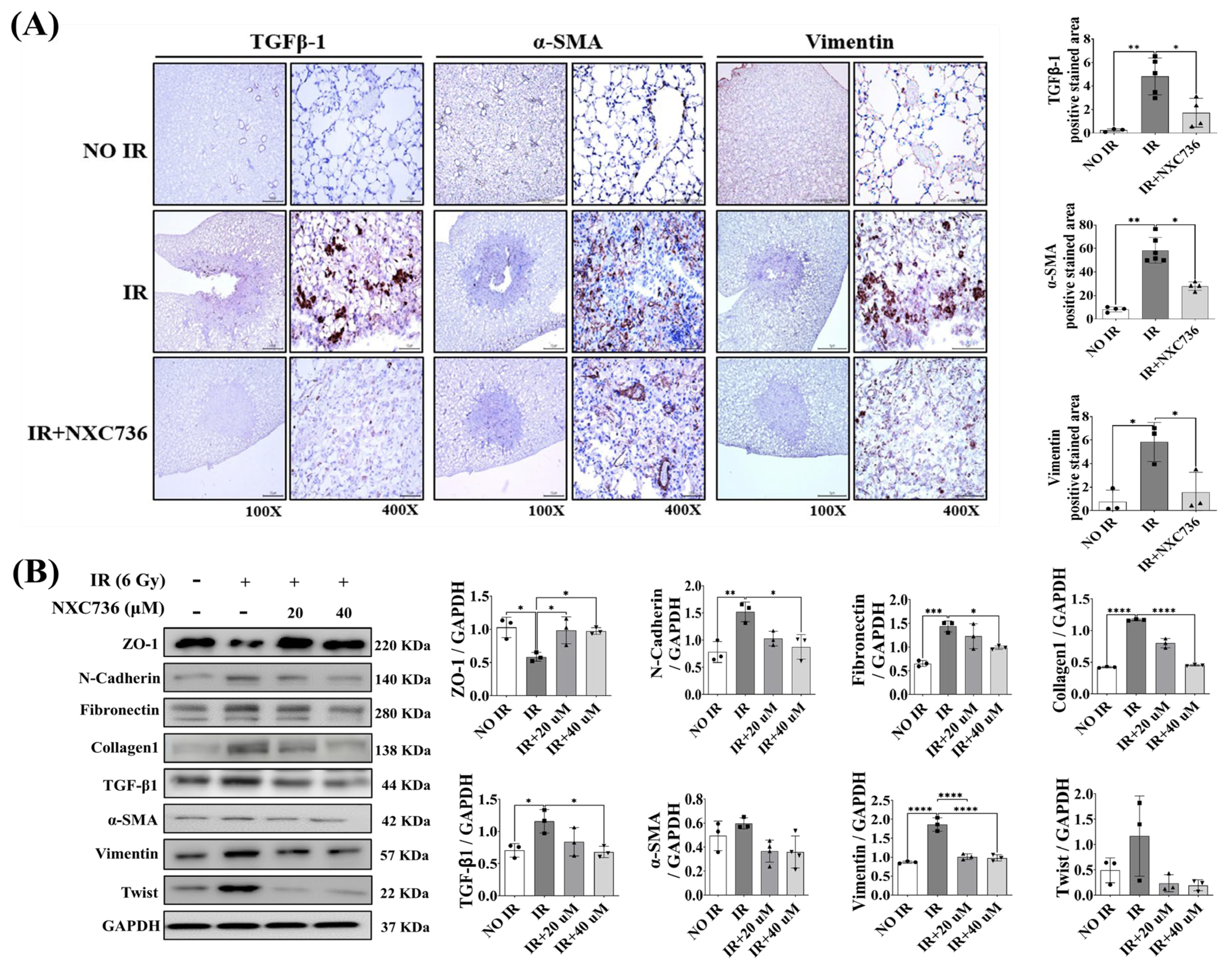 Ijms 24 16265 g005 Ijms 24 16265 g005