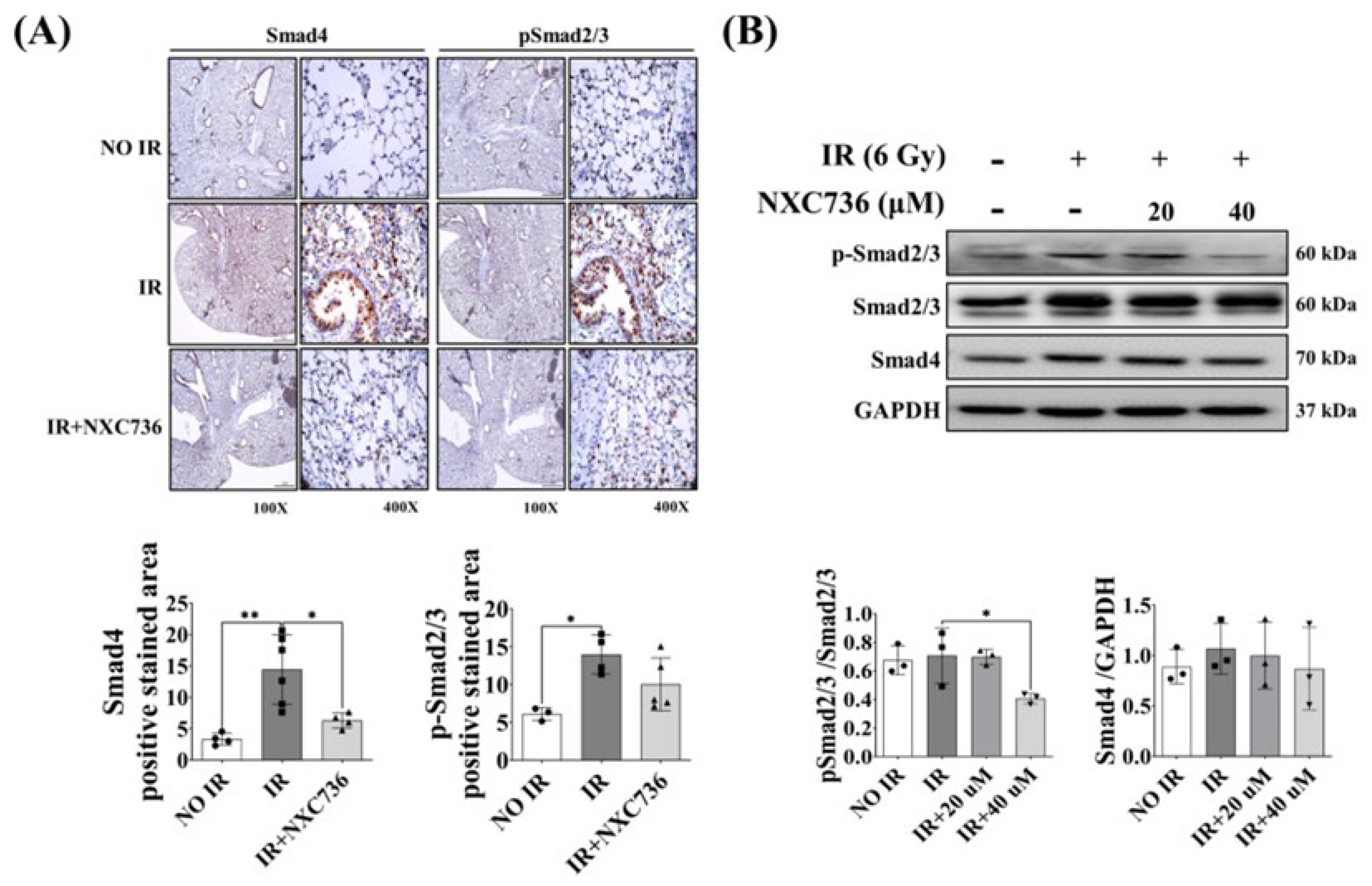 Ijms 24 16265 g006 Ijms 24 16265 g006