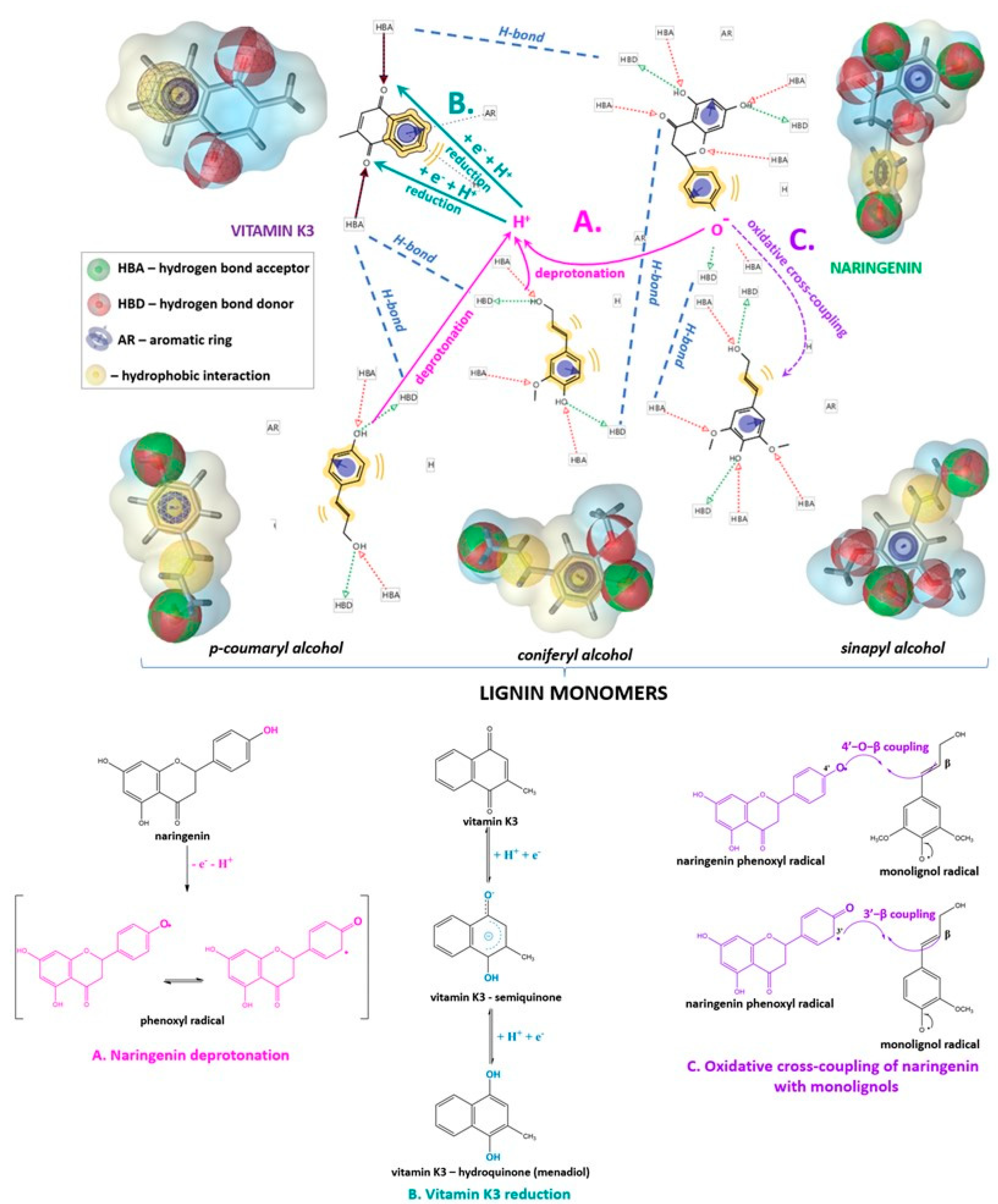 Ijms 24 16268 g004 Ijms 24 16268 g004