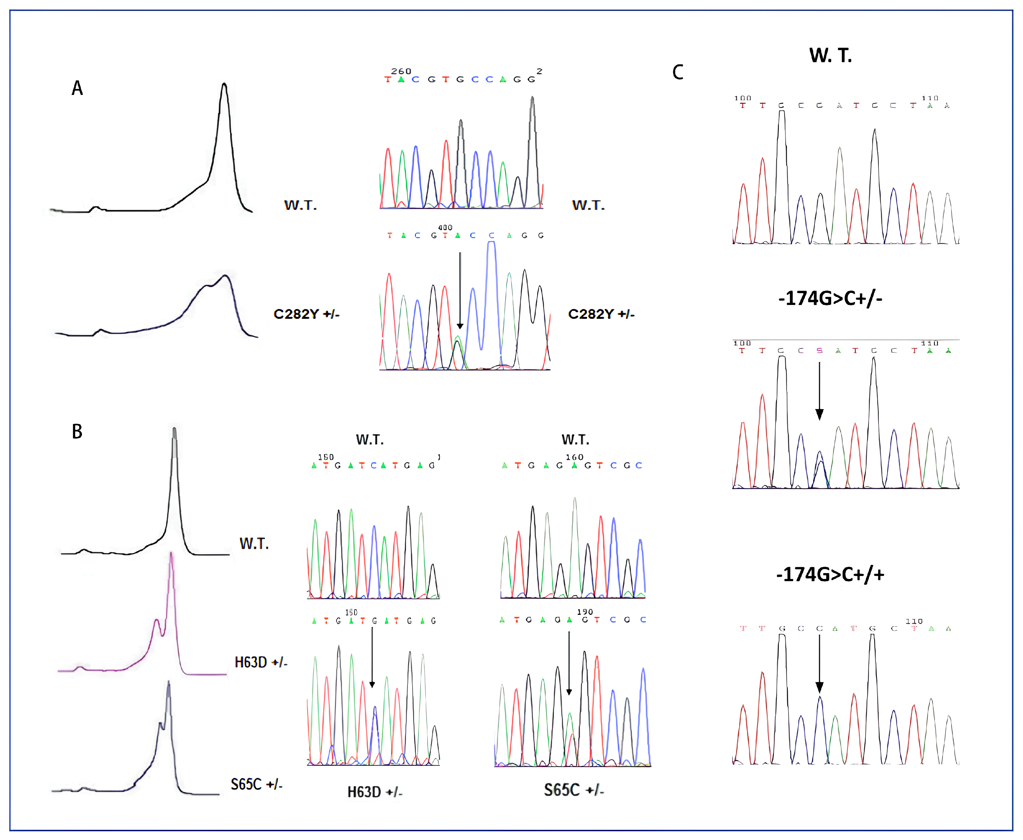 Ijms 24 16300 g001 Ijms 24 16300 g001
