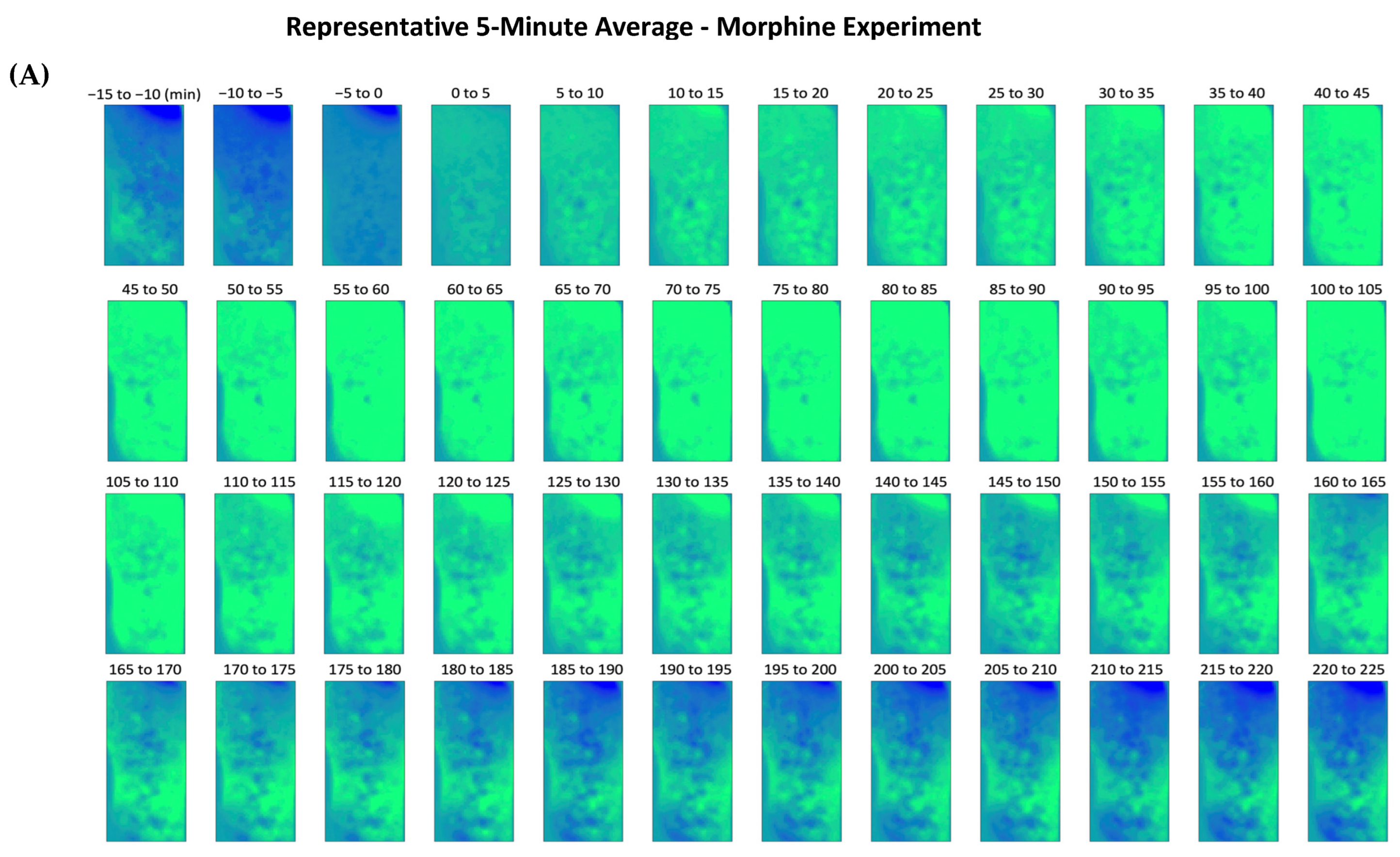 Ijms 24 16303 g002a Ijms 24 16303 g002a
