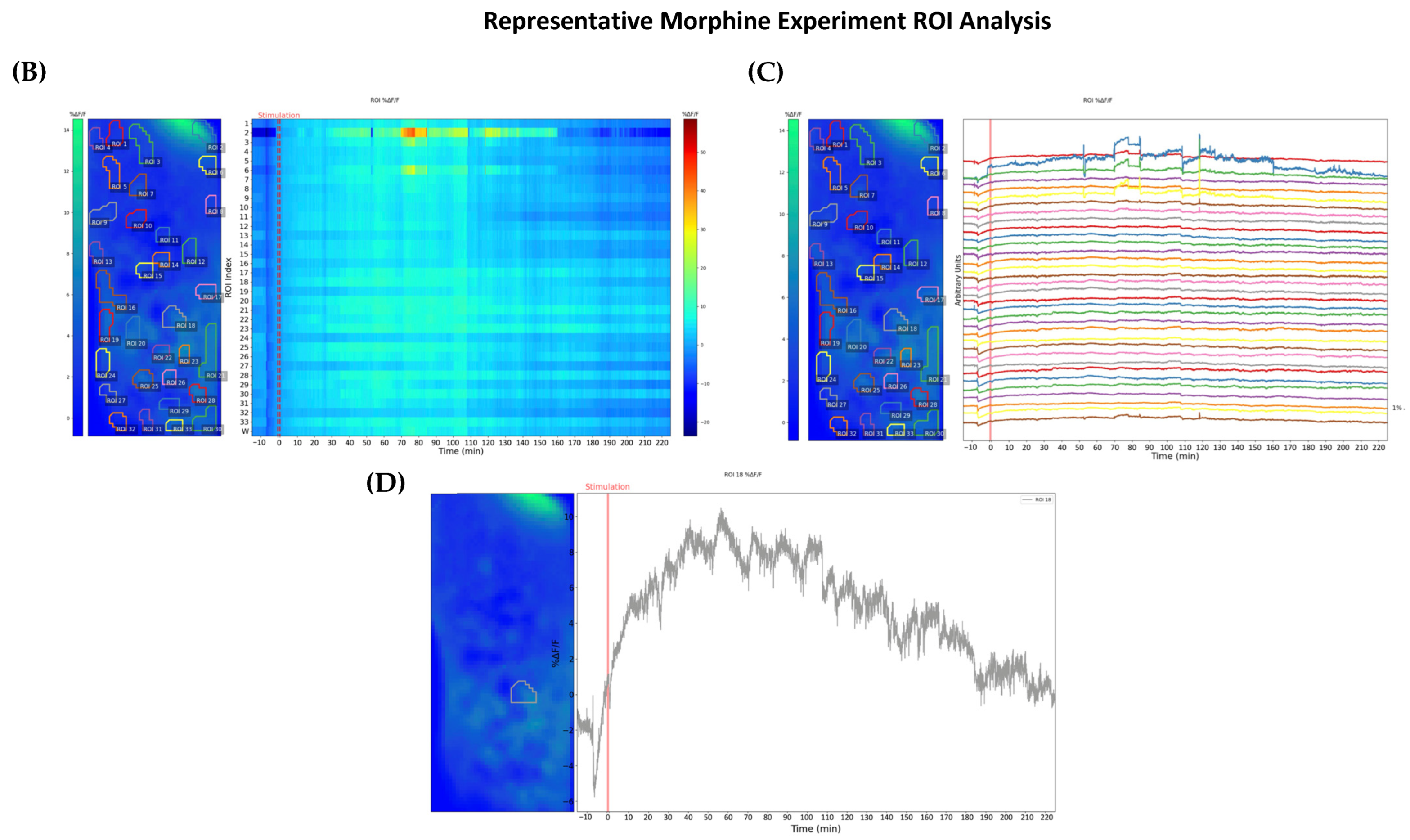 Ijms 24 16303 g002b Ijms 24 16303 g002b