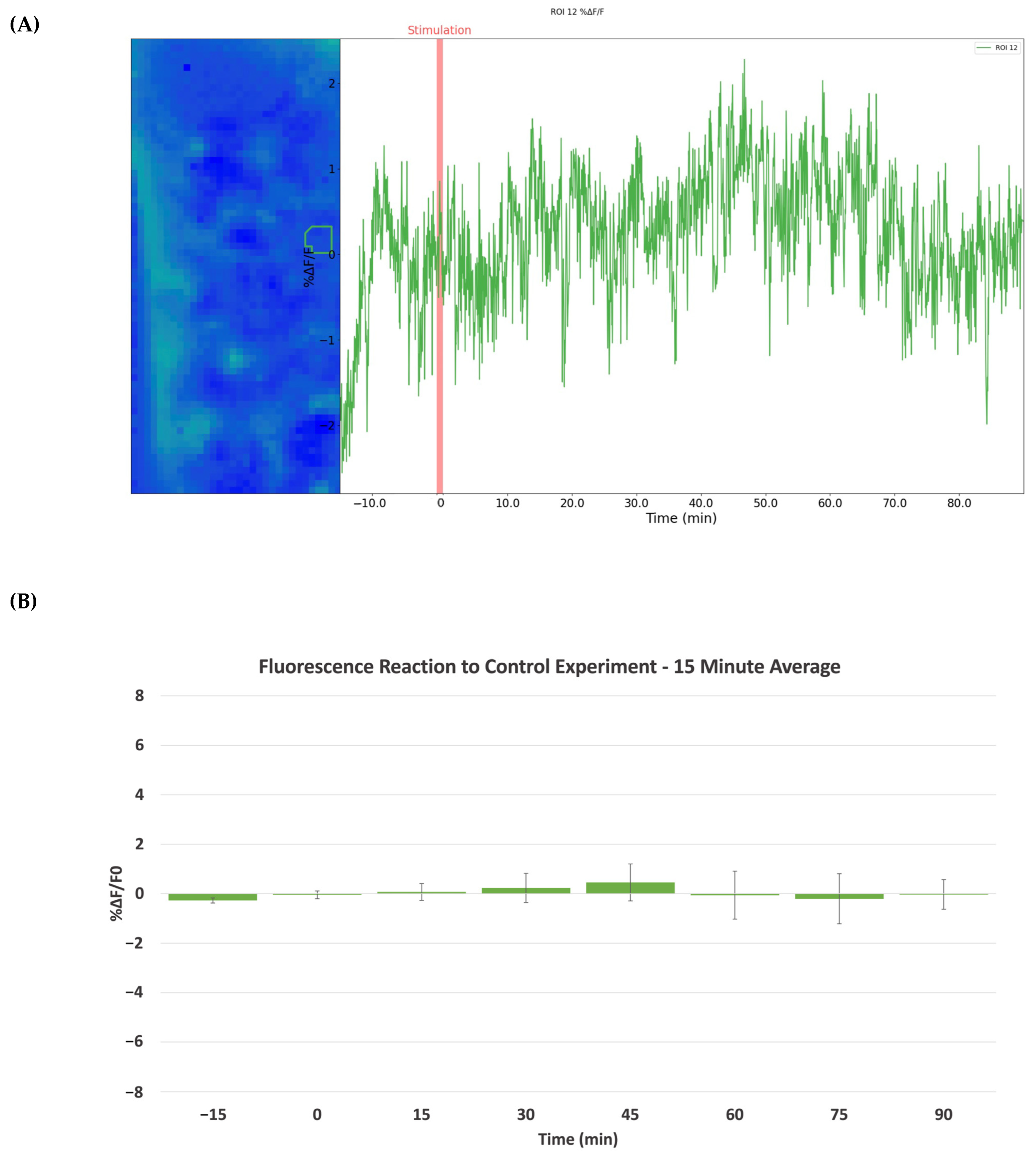 Ijms 24 16303 g006 Ijms 24 16303 g006