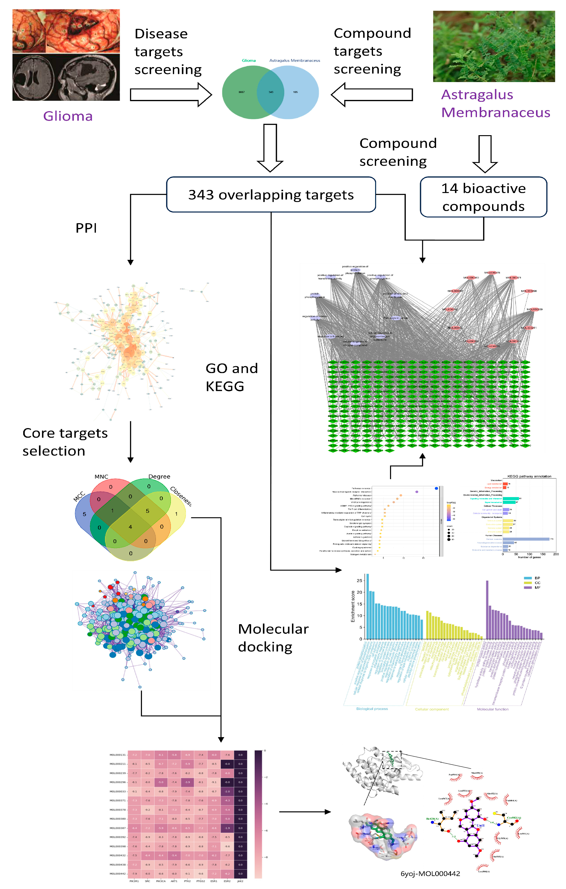 Ijms 24 16306 g001 Ijms 24 16306 g001