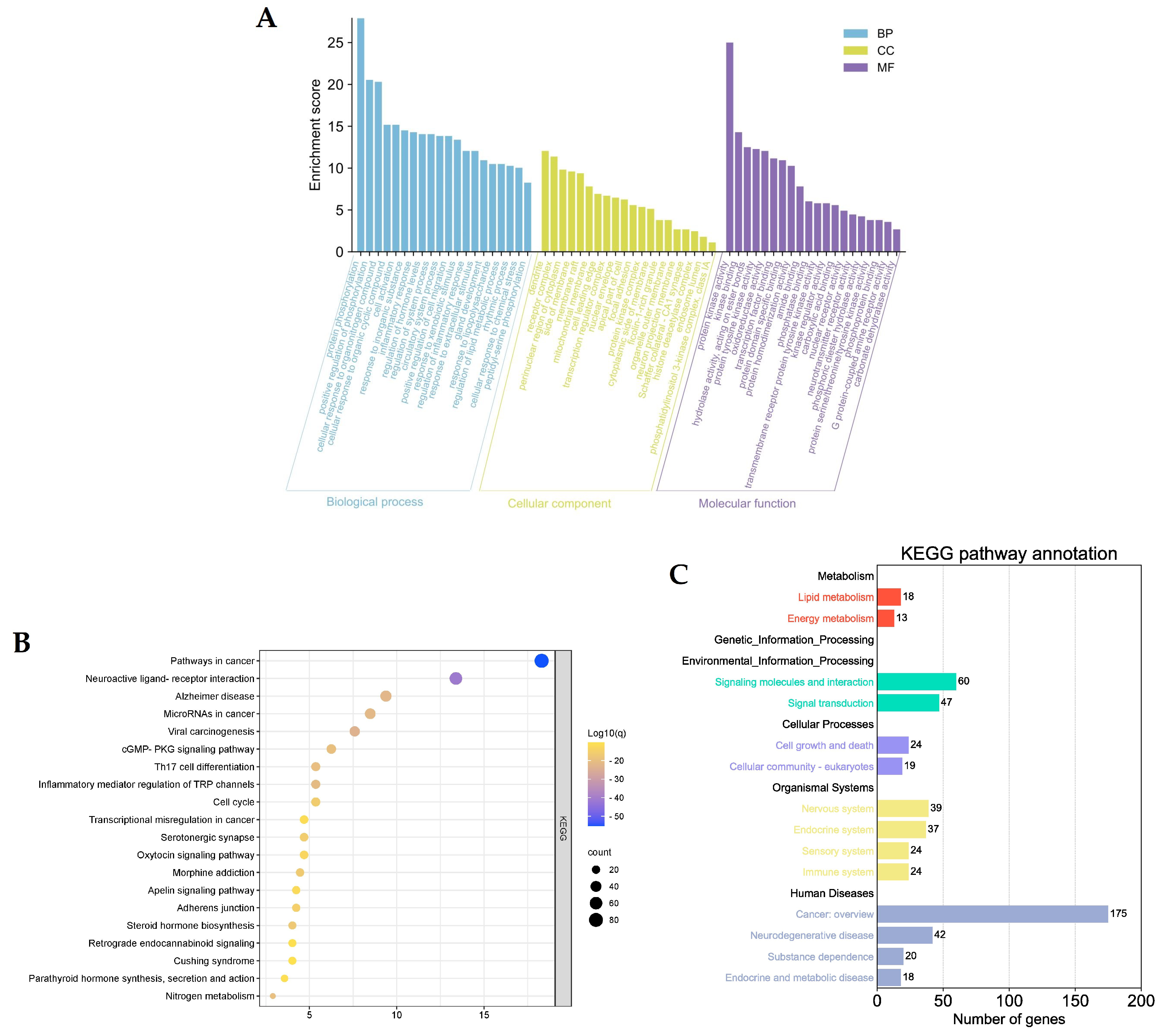 Ijms 24 16306 g006 Ijms 24 16306 g006