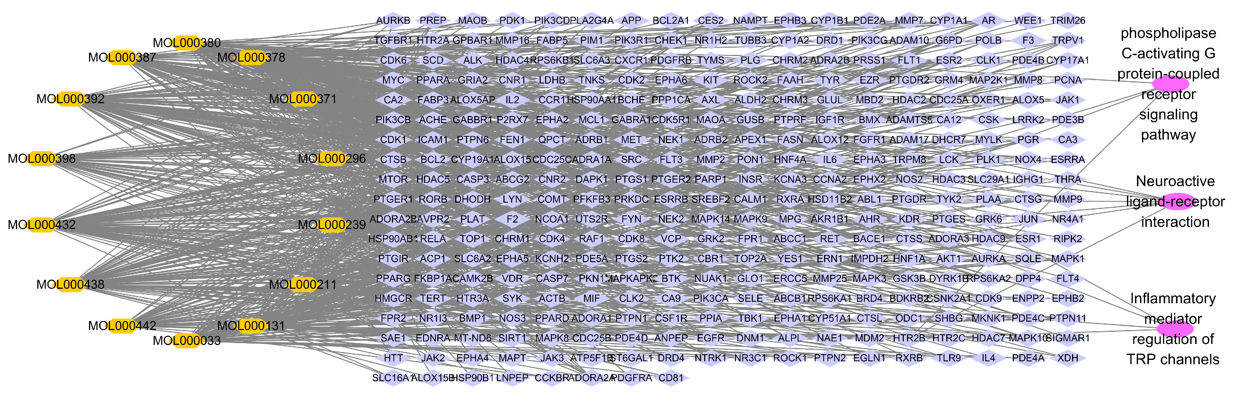 Ijms 24 16306 g007 Ijms 24 16306 g007