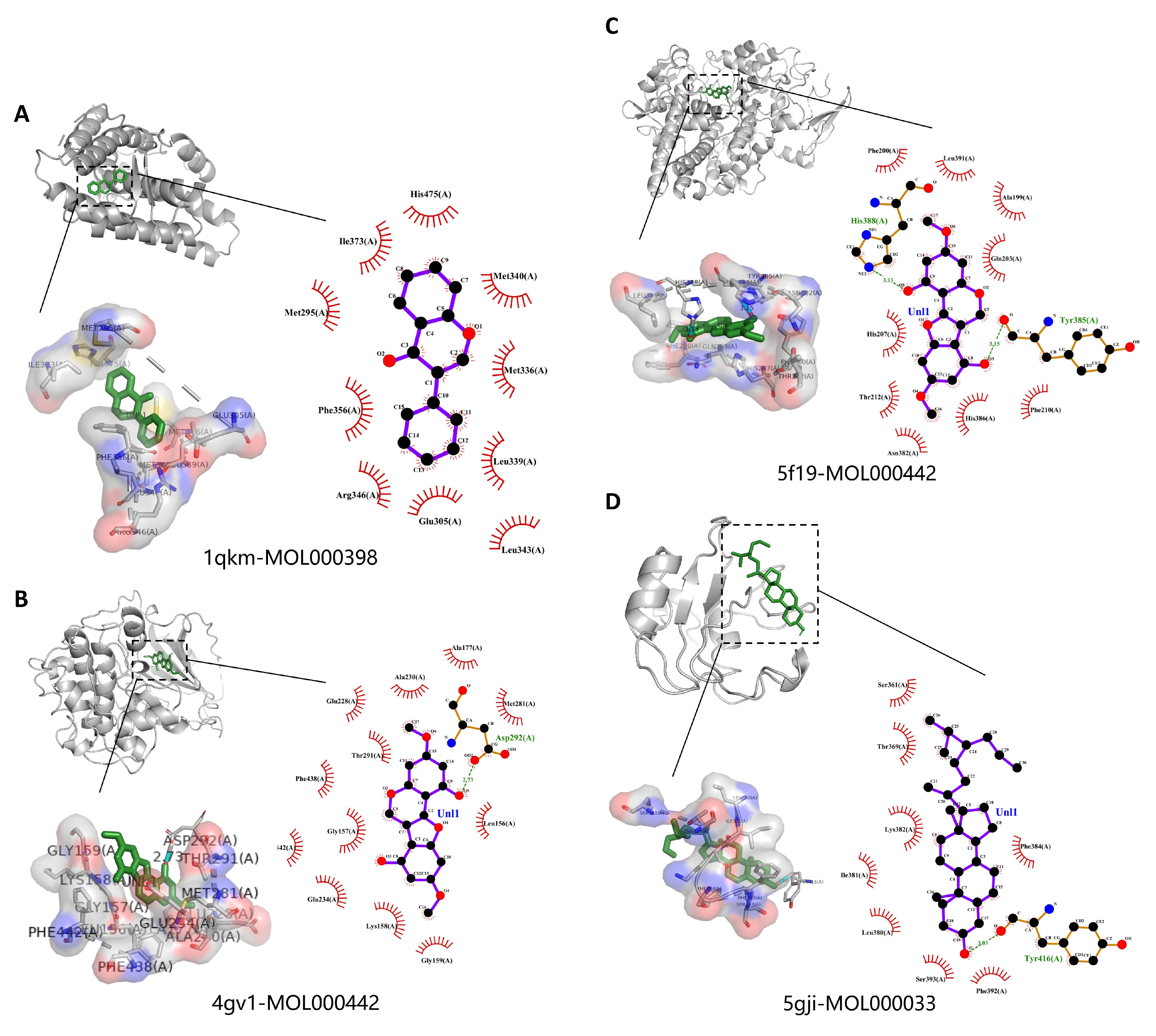 Ijms 24 16306 g009a Ijms 24 16306 g009a
