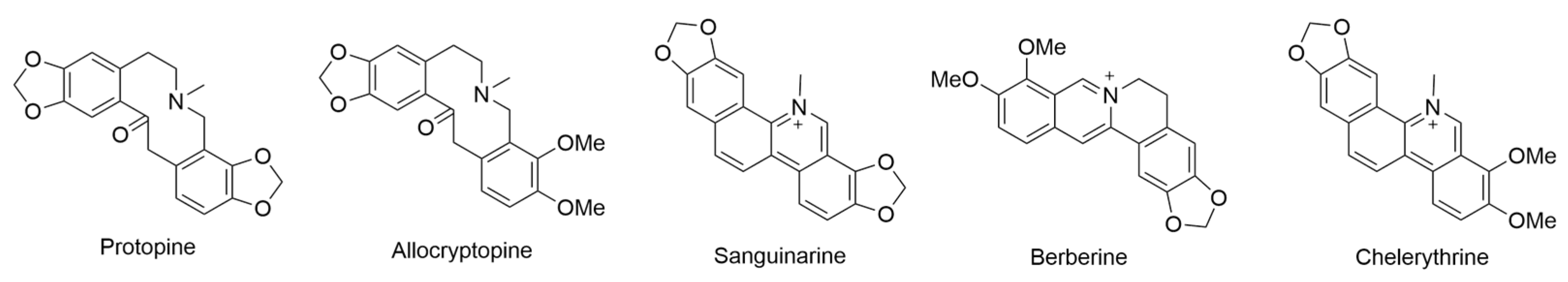 Ijms 24 16323 g001 Ijms 24 16323 g001