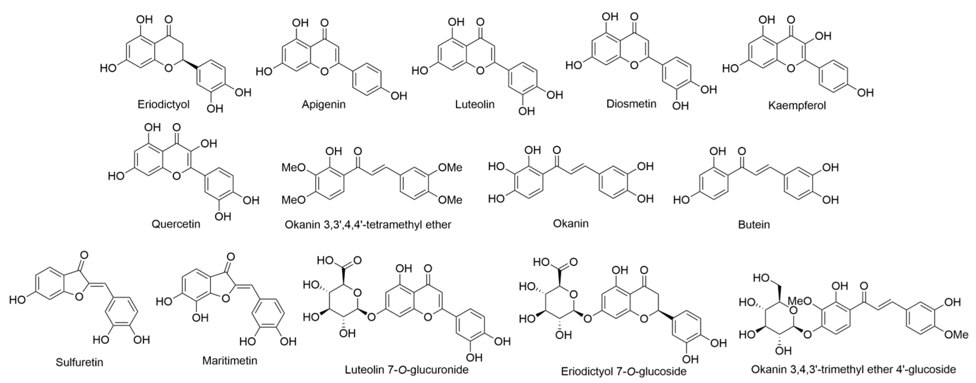 Ijms 24 16323 g003 Ijms 24 16323 g003