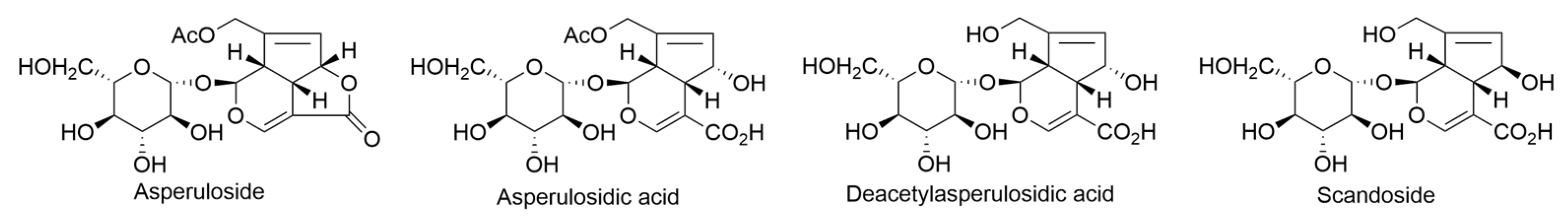 Ijms 24 16323 g006 Ijms 24 16323 g006
