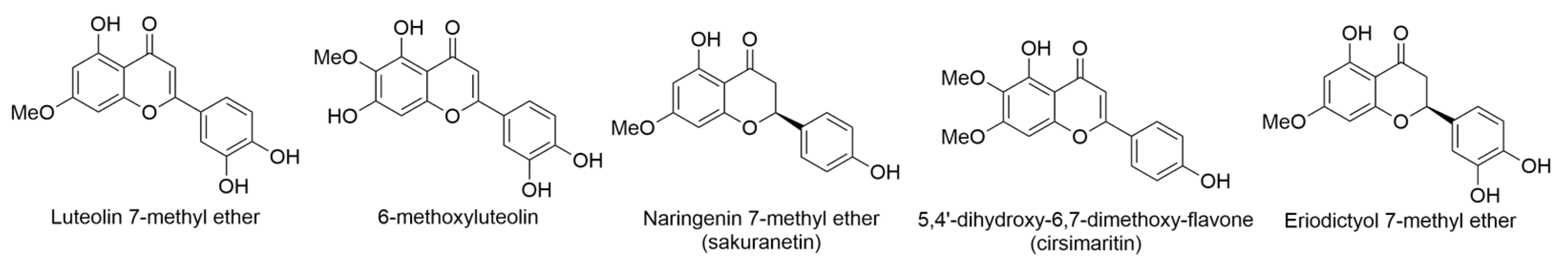 Ijms 24 16323 g007 Ijms 24 16323 g007