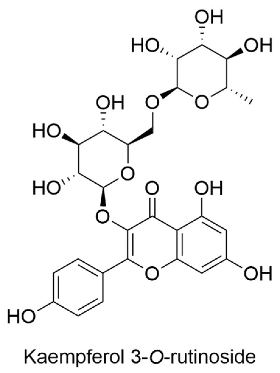 Ijms 24 16323 g010 Ijms 24 16323 g010
