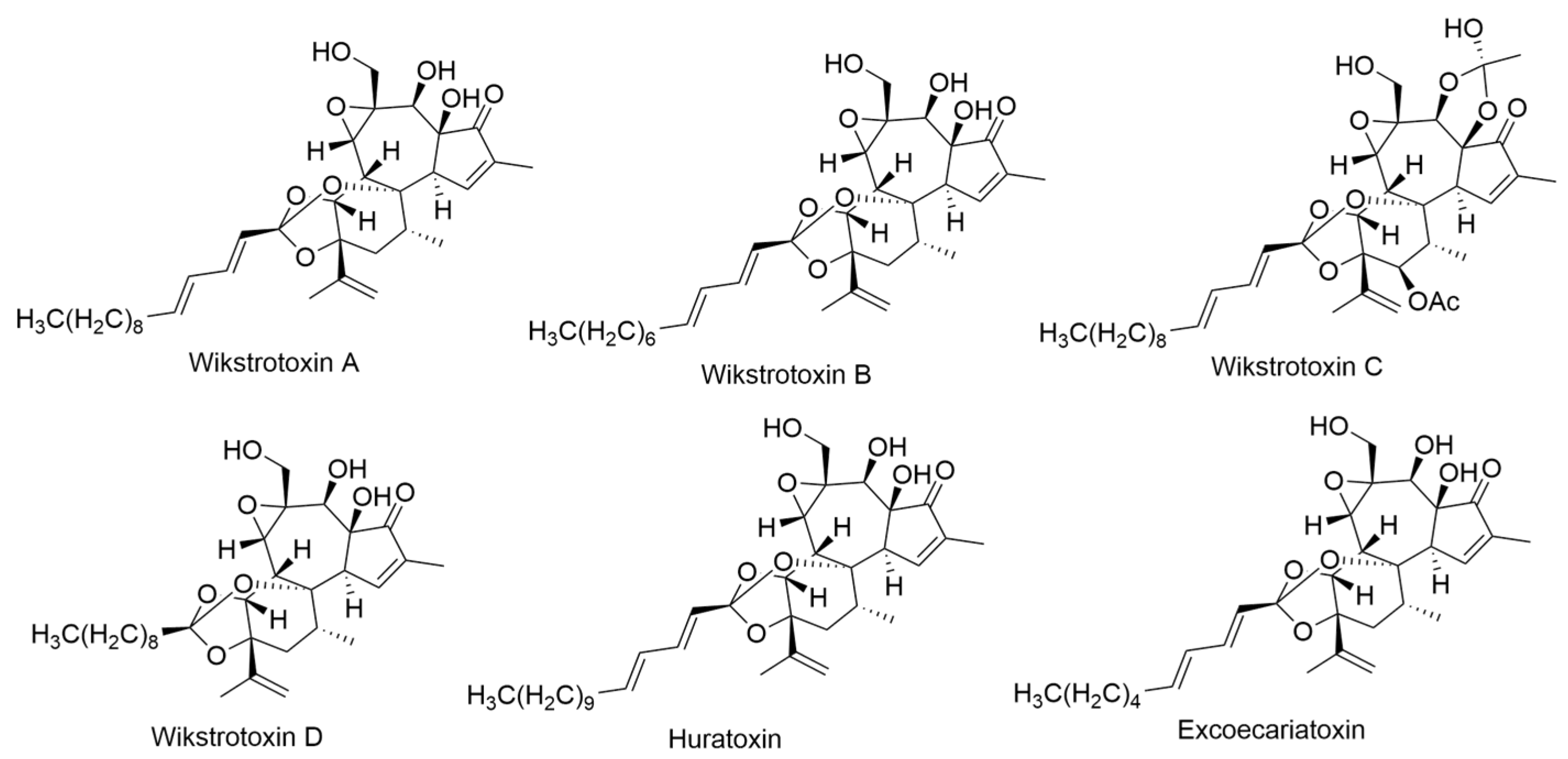 Ijms 24 16323 g019 Ijms 24 16323 g019