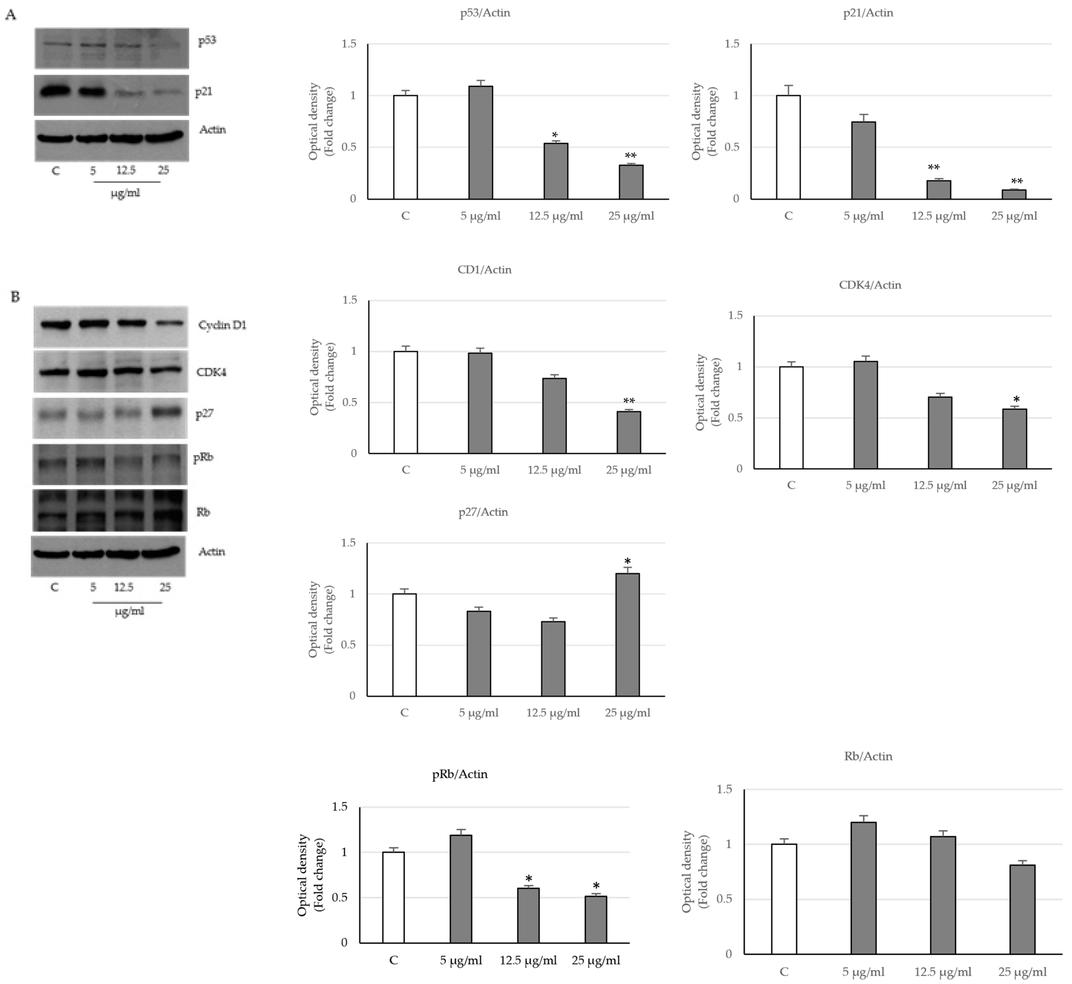 Ijms 24 16351 g002 Ijms 24 16351 g002