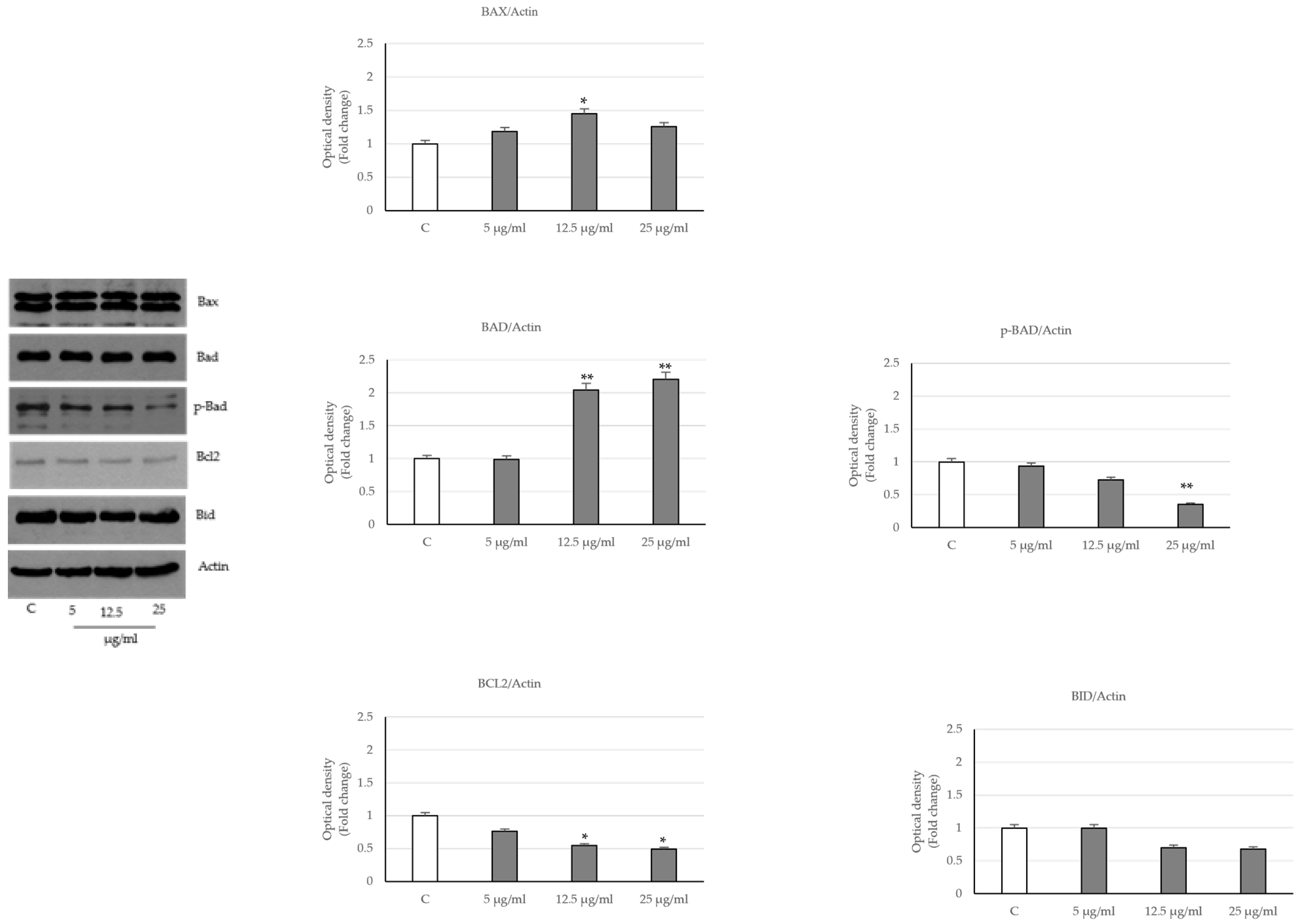 Ijms 24 16351 g004 Ijms 24 16351 g004